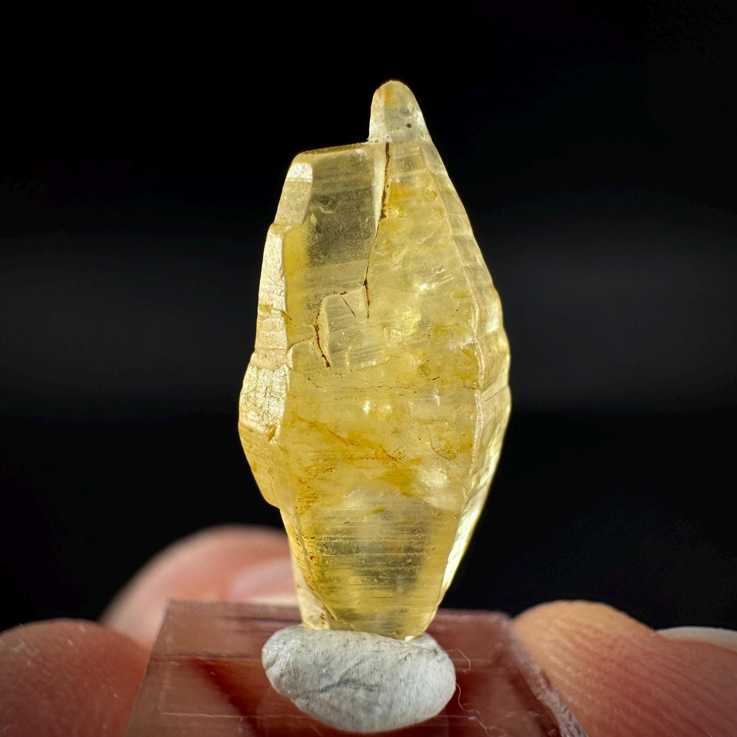 Ceylon Sapphire | natural yellow crystal, uncut raw sapphire, mineral specimen from Sri Lanka