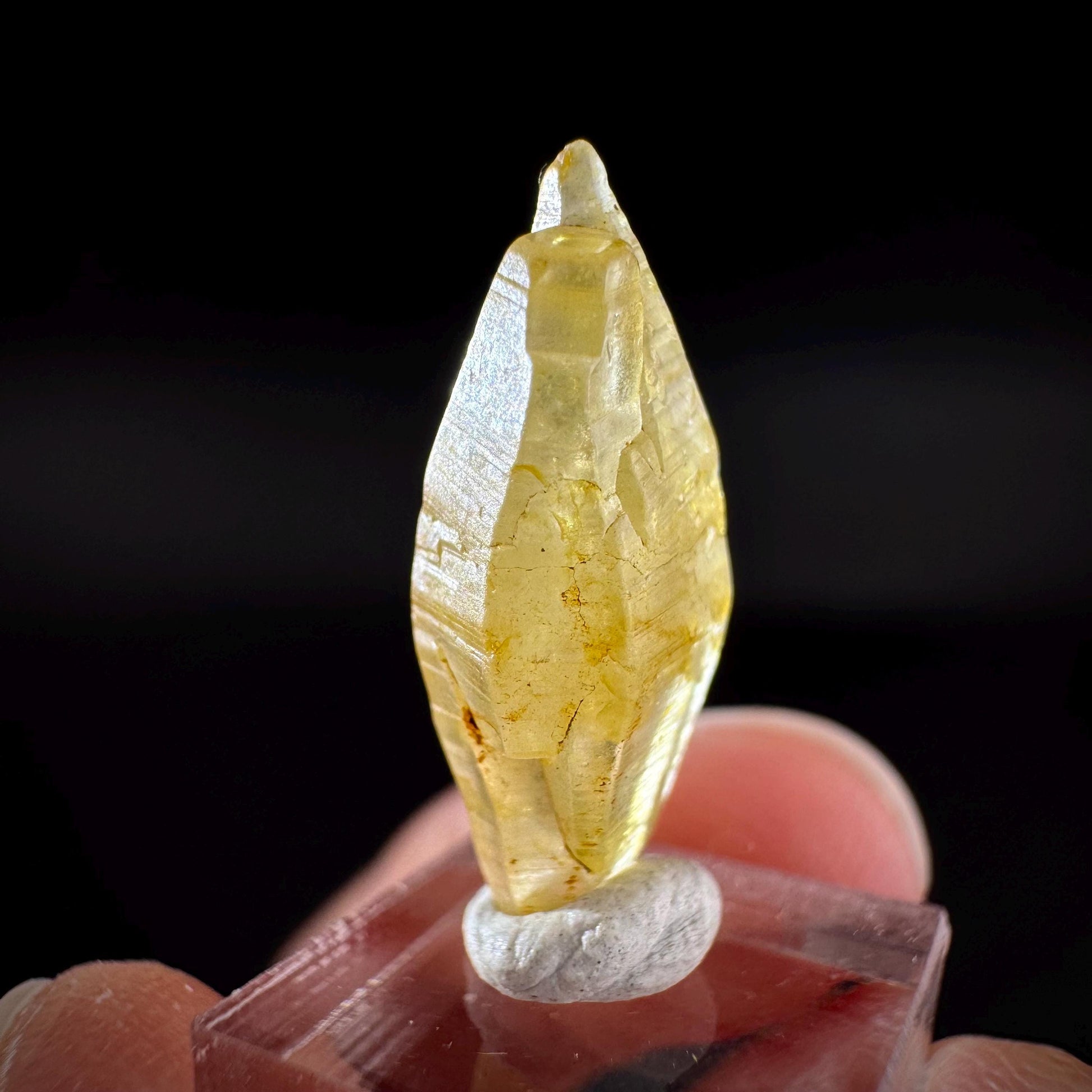 Ceylon Sapphire | natural yellow crystal, uncut raw sapphire, mineral specimen from Sri Lanka