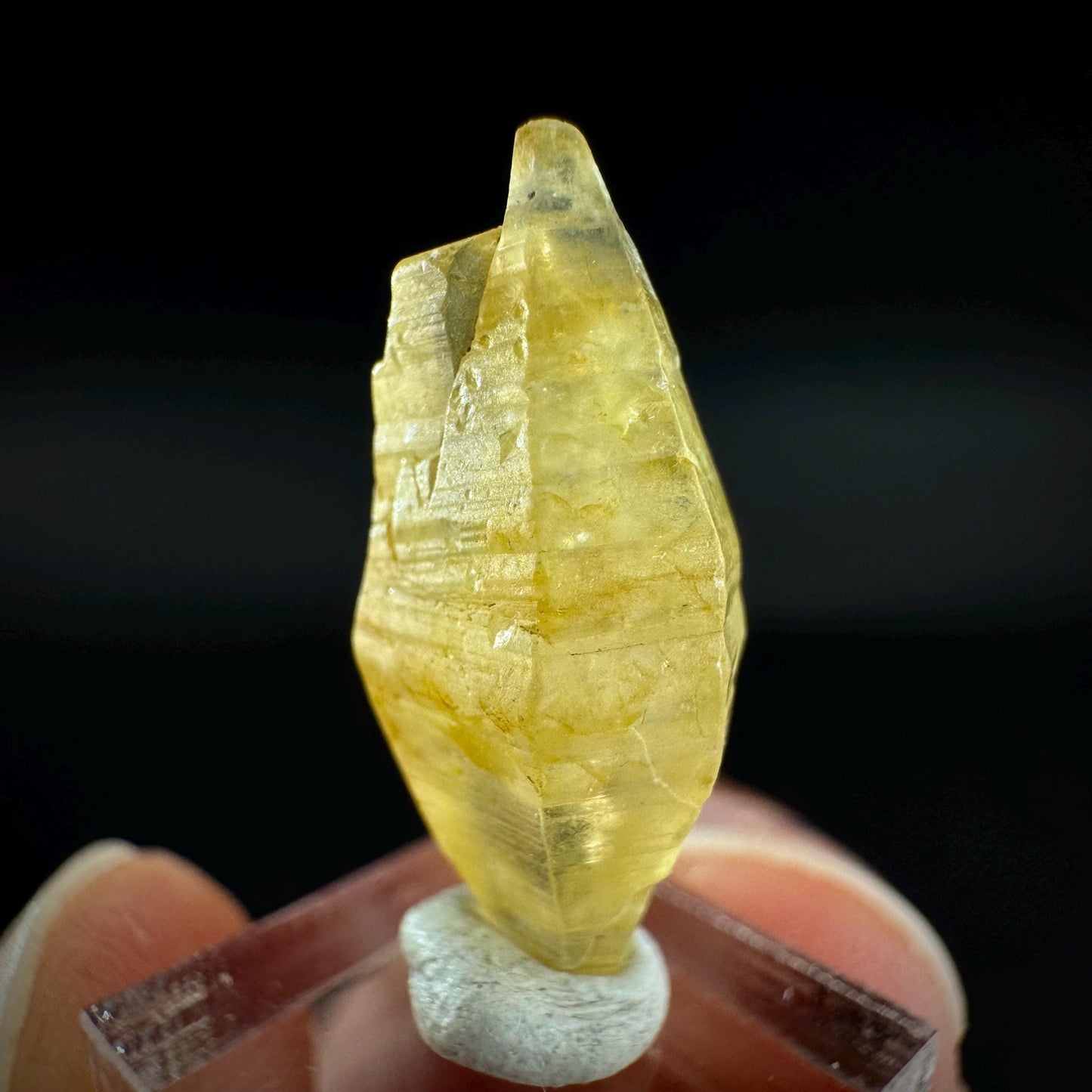 Ceylon Sapphire | natural yellow crystal, uncut raw sapphire, mineral specimen from Sri Lanka