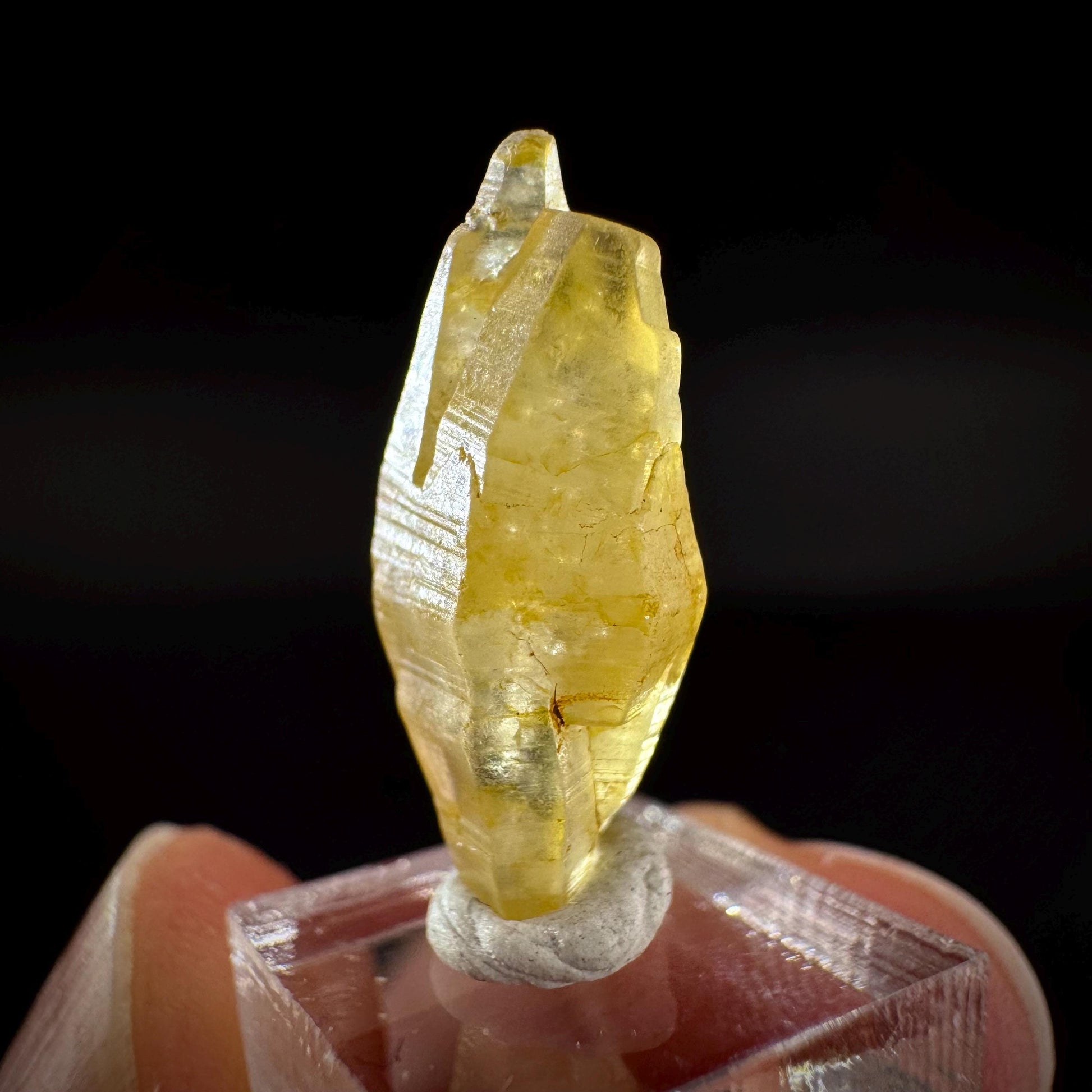 Ceylon Sapphire | natural yellow crystal, uncut raw sapphire, mineral specimen from Sri Lanka