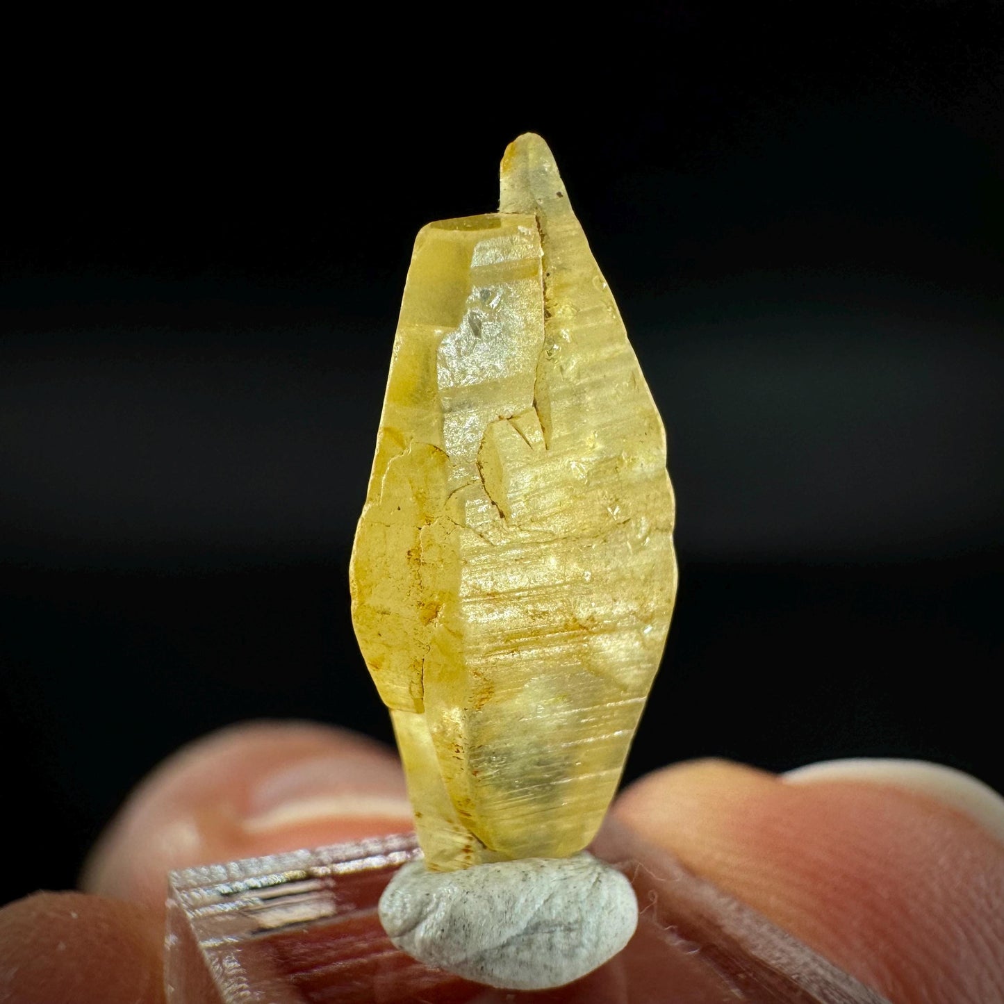 Ceylon Sapphire | natural yellow crystal, uncut raw sapphire, mineral specimen from Sri Lanka