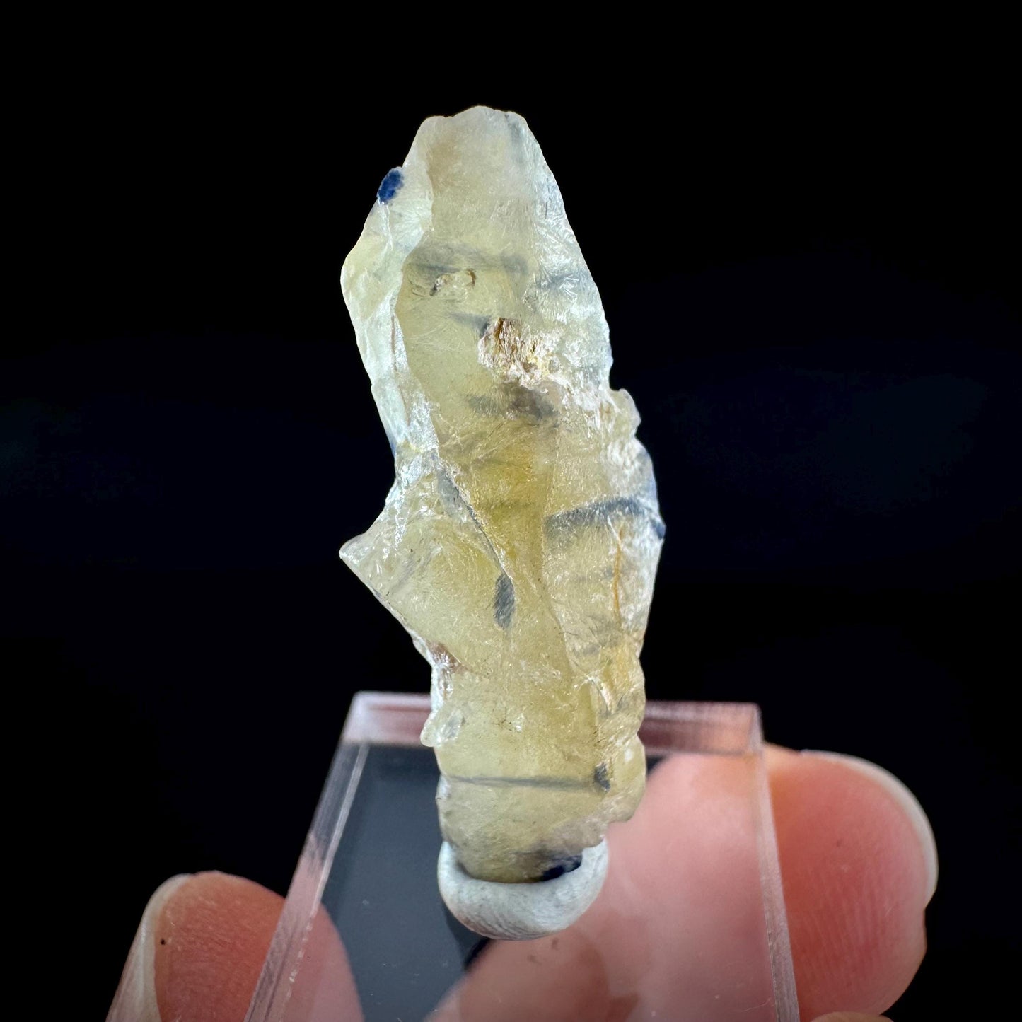 Ceylon Sapphire | natural bi-color blue crystal, uncut raw sapphire, mineral specimen from Sri Lanka