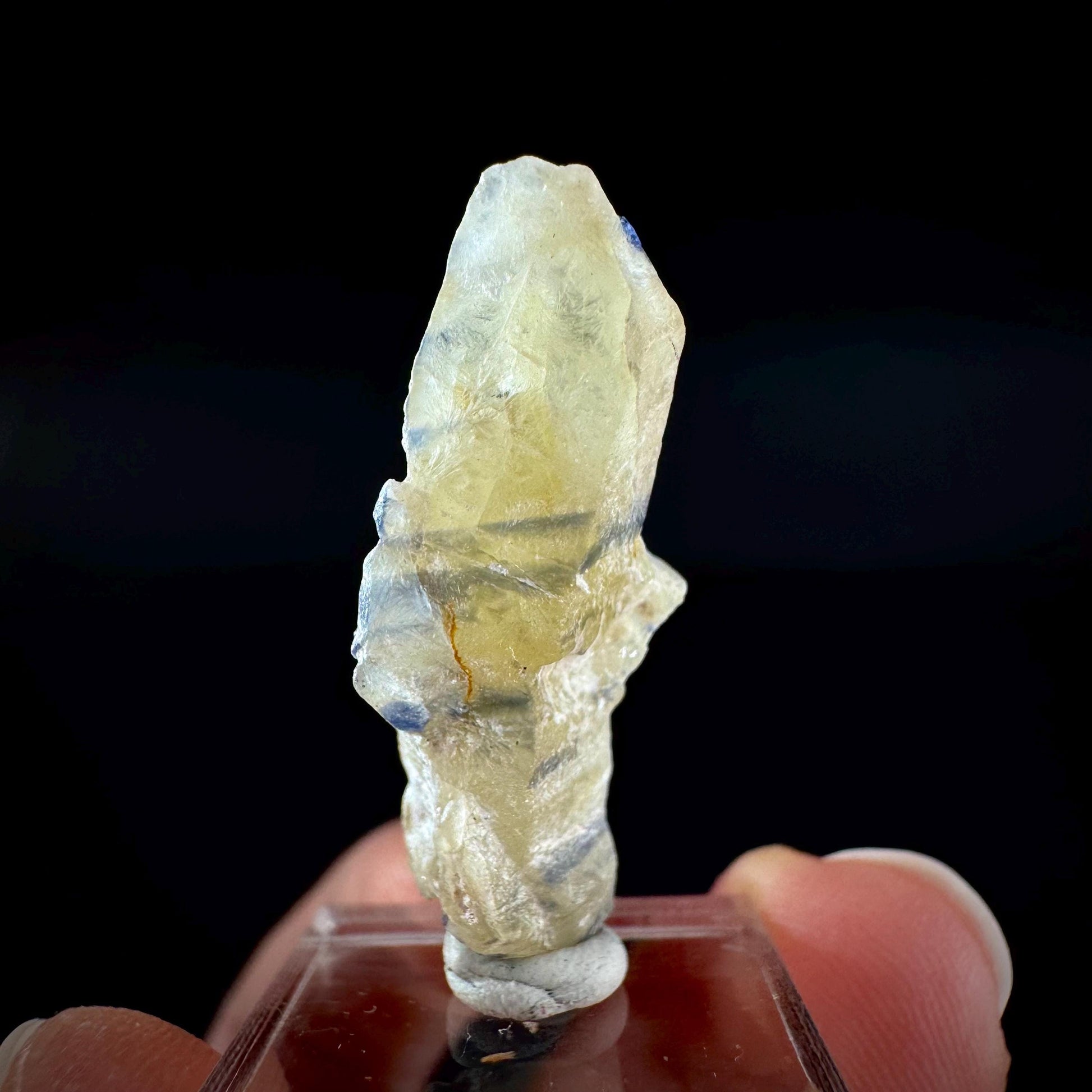 Ceylon Sapphire | natural bi-color blue crystal, uncut raw sapphire, mineral specimen from Sri Lanka
