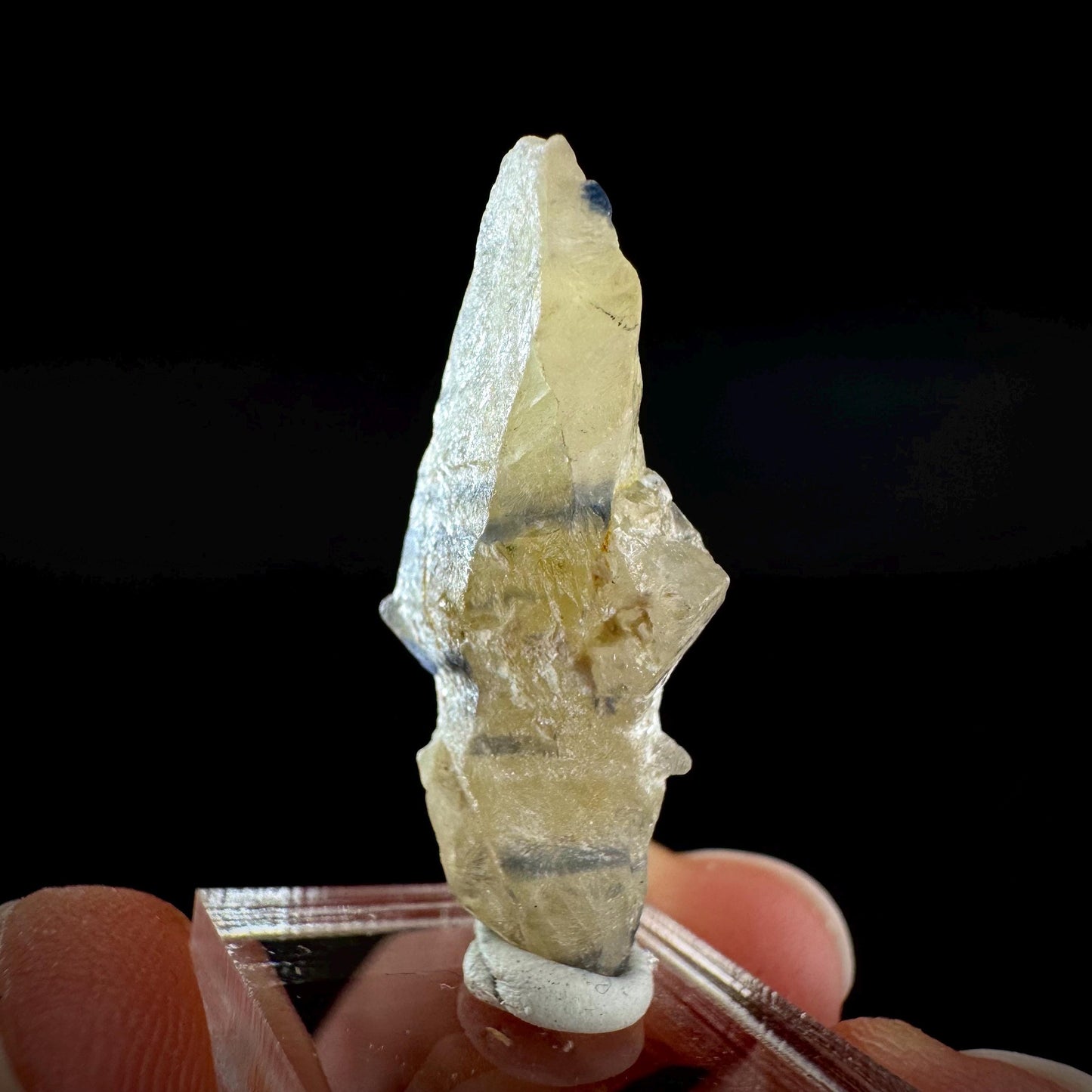 Ceylon Sapphire | natural bi-color blue crystal, uncut raw sapphire, mineral specimen from Sri Lanka