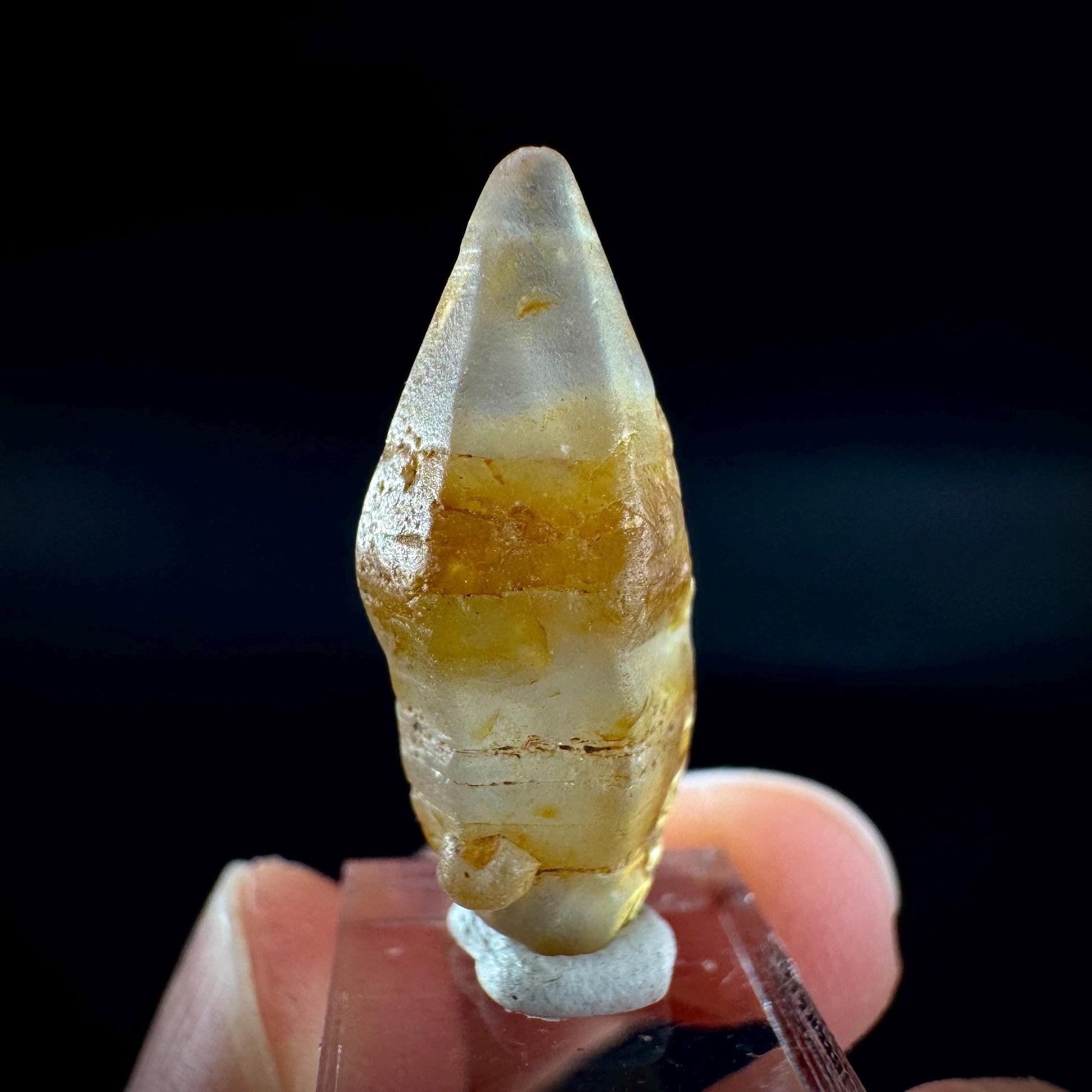 Ceylon Sapphire | natural yellow crystal, uncut raw sapphire, mineral specimen from Sri Lanka