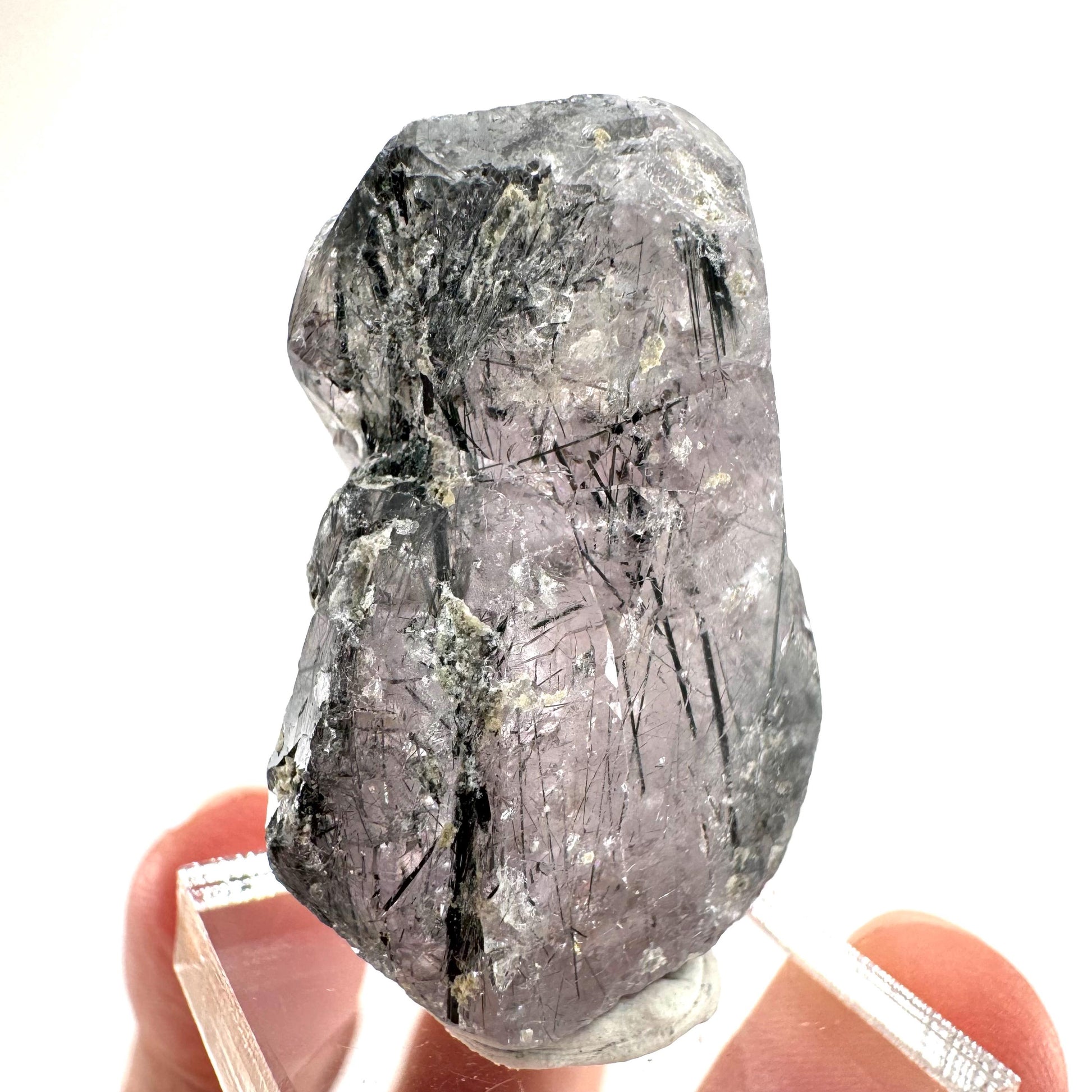 Fluorapatite with Actinolite Inclusions | natural purple crystal, mineral specimen from Pakistan