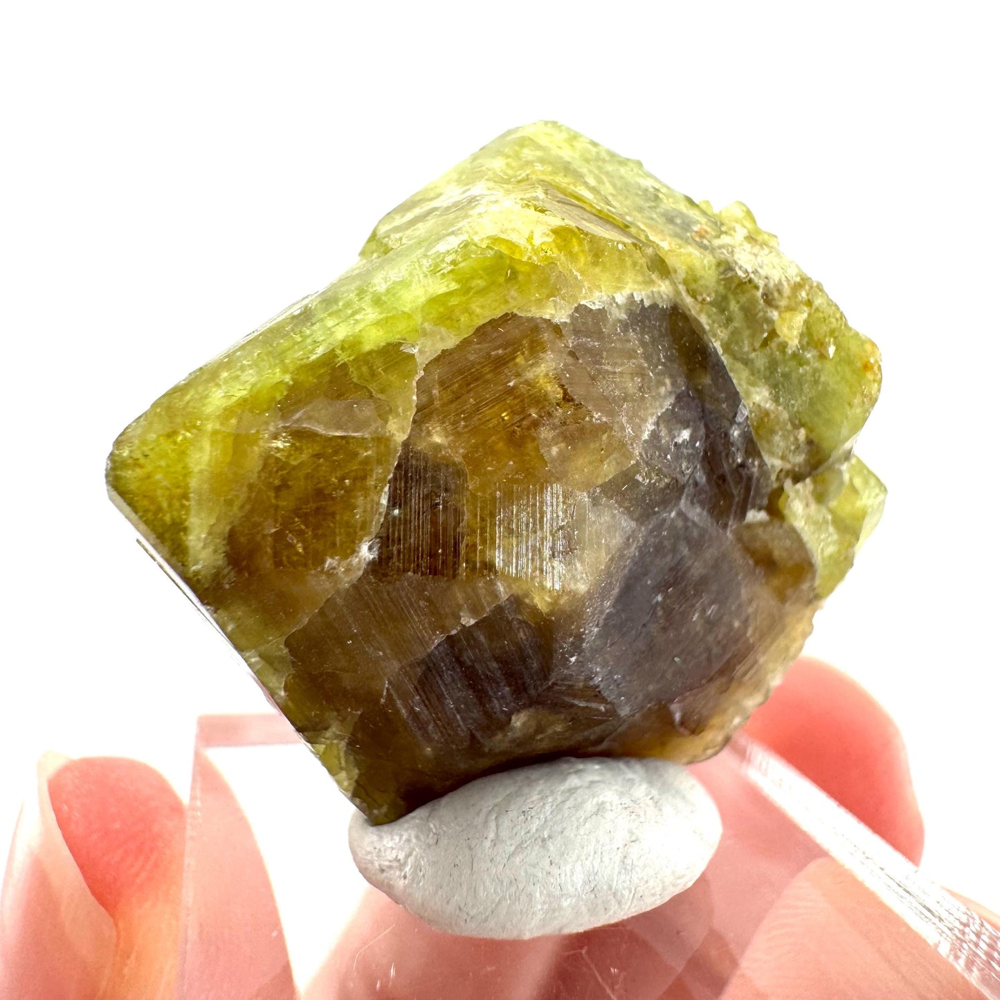 Andradite-Grossular Garnet | natural green crystal, raw mineral specimen from Mali