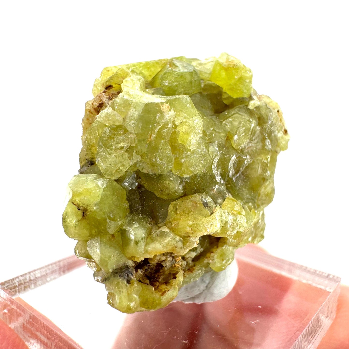 Andradite-Grossular Garnet | natural green crystal, raw mineral specimen from Mali