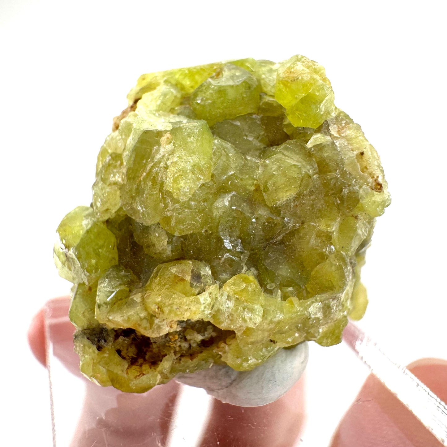 Andradite-Grossular Garnet | natural green crystal, raw mineral specimen from Mali