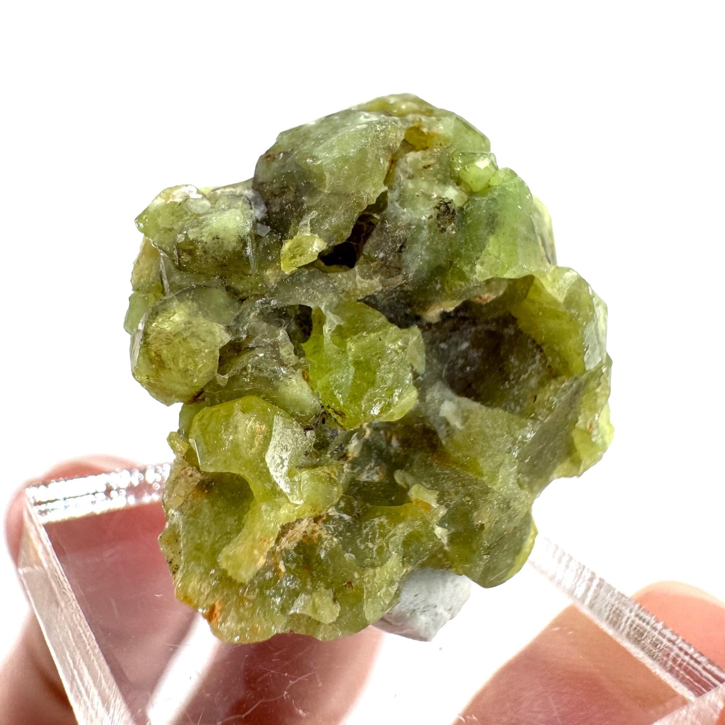 Andradite-Grossular Garnet | natural green crystal, raw mineral specimen from Mali
