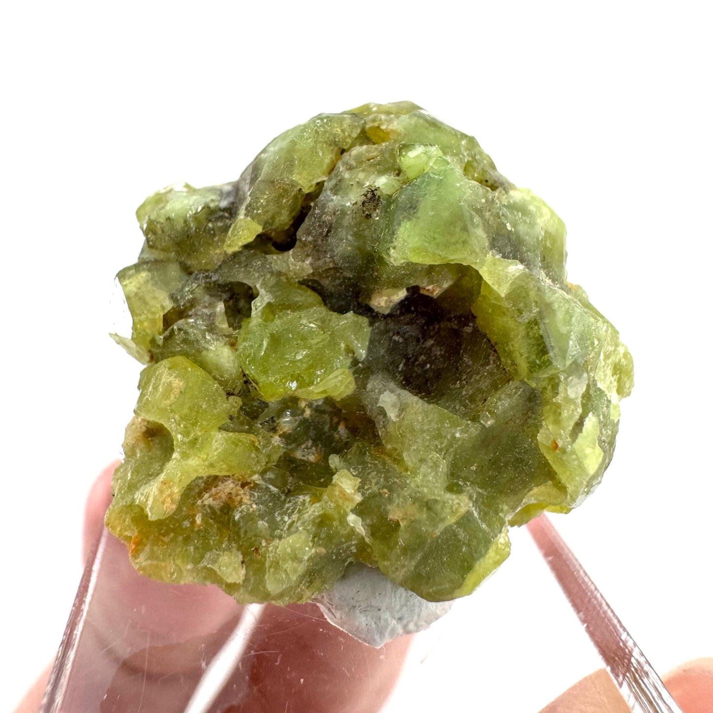 Andradite-Grossular Garnet | natural green crystal, raw mineral specimen from Mali
