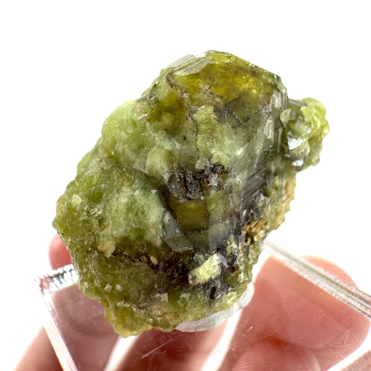 Andradite-Grossular Garnet | natural green crystal, raw mineral specimen from Mali