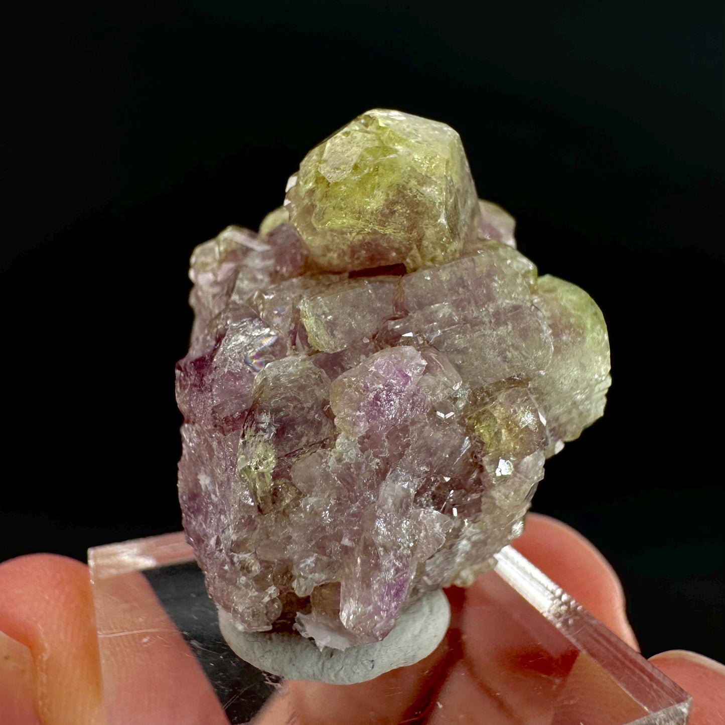 Vesuvianite (Canada) | green & purple crystal, rare mineral specimen
