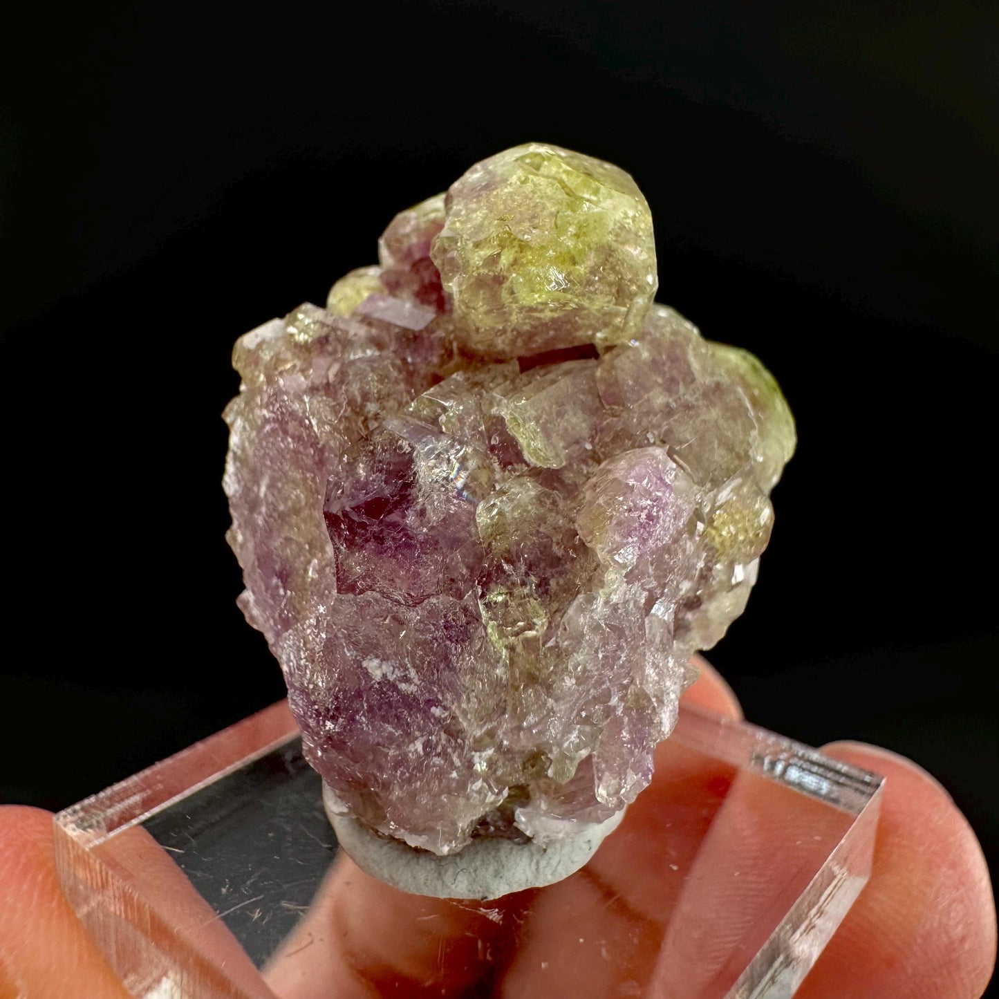 Vesuvianite (Canada) | green & purple crystal, rare mineral specimen