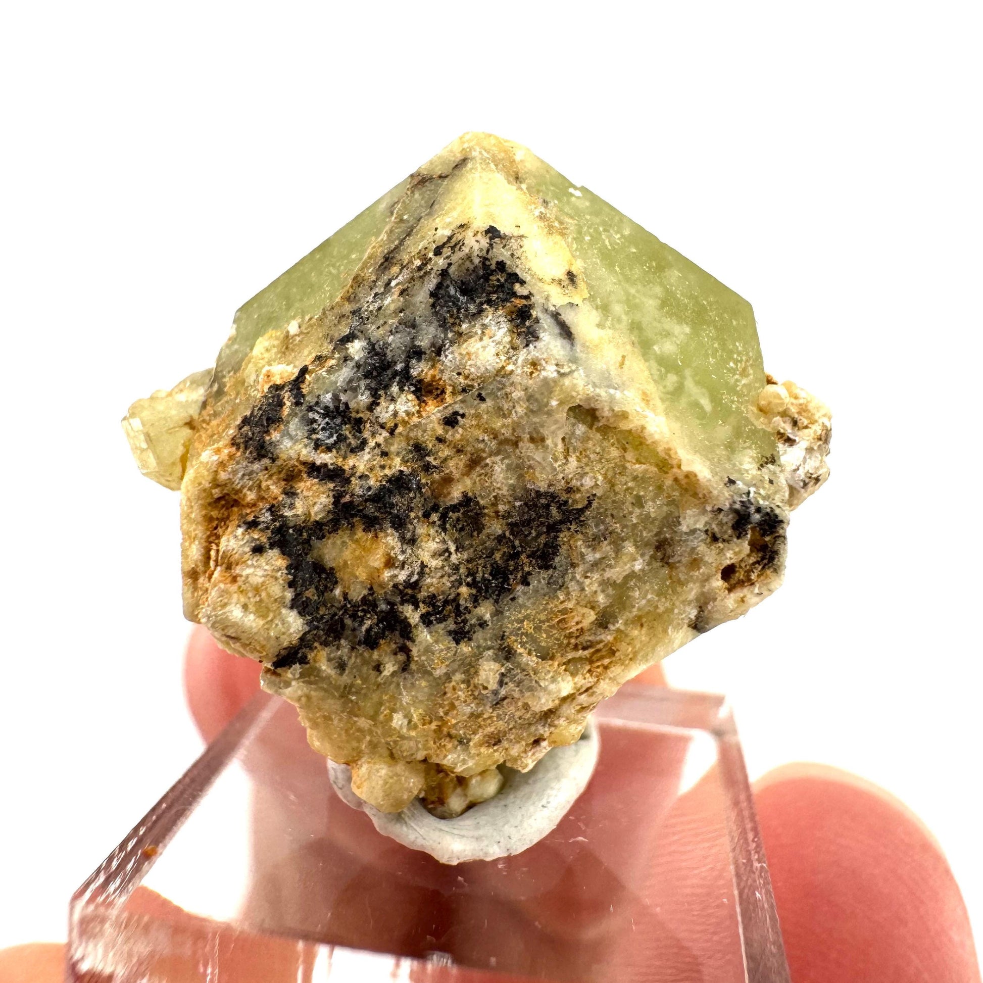 Andradite-Grossular Garnet | natural green crystal, raw mineral specimen from Mali