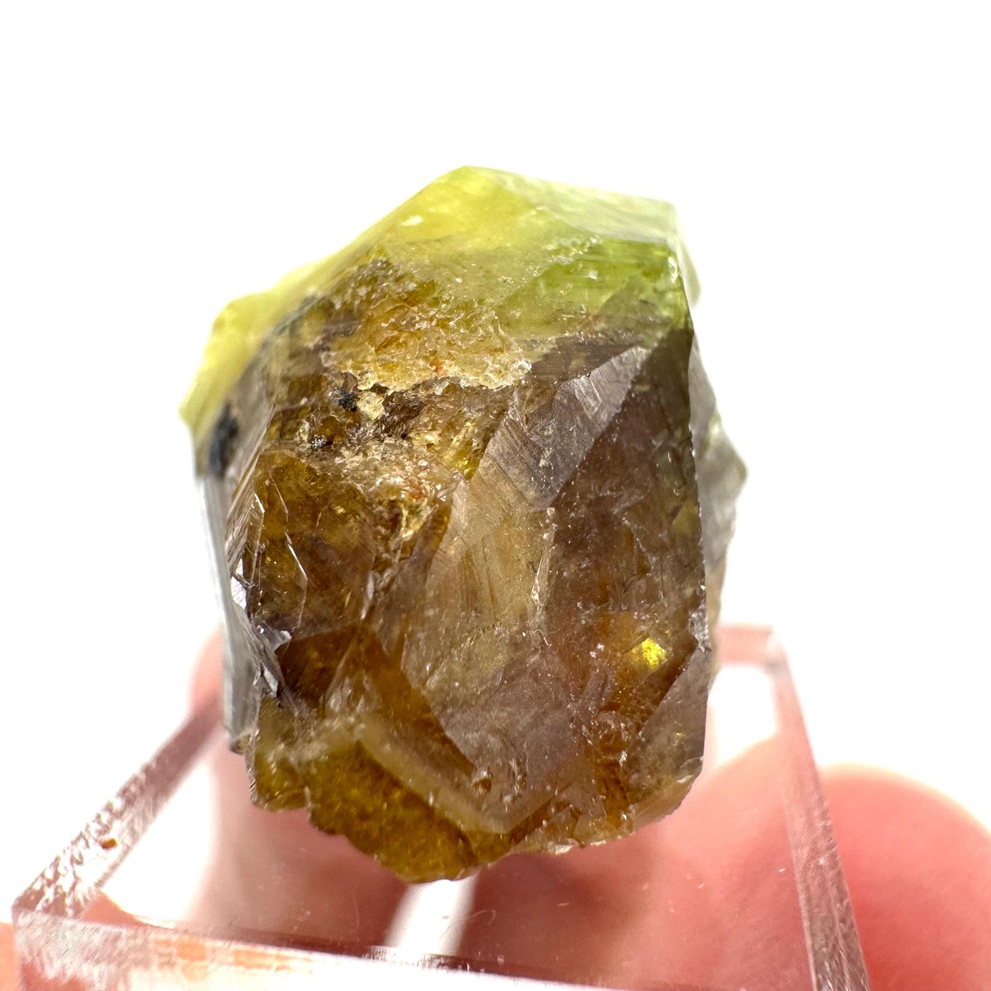 Andradite-Grossular Garnet | natural green crystal, raw mineral specimen from Mali