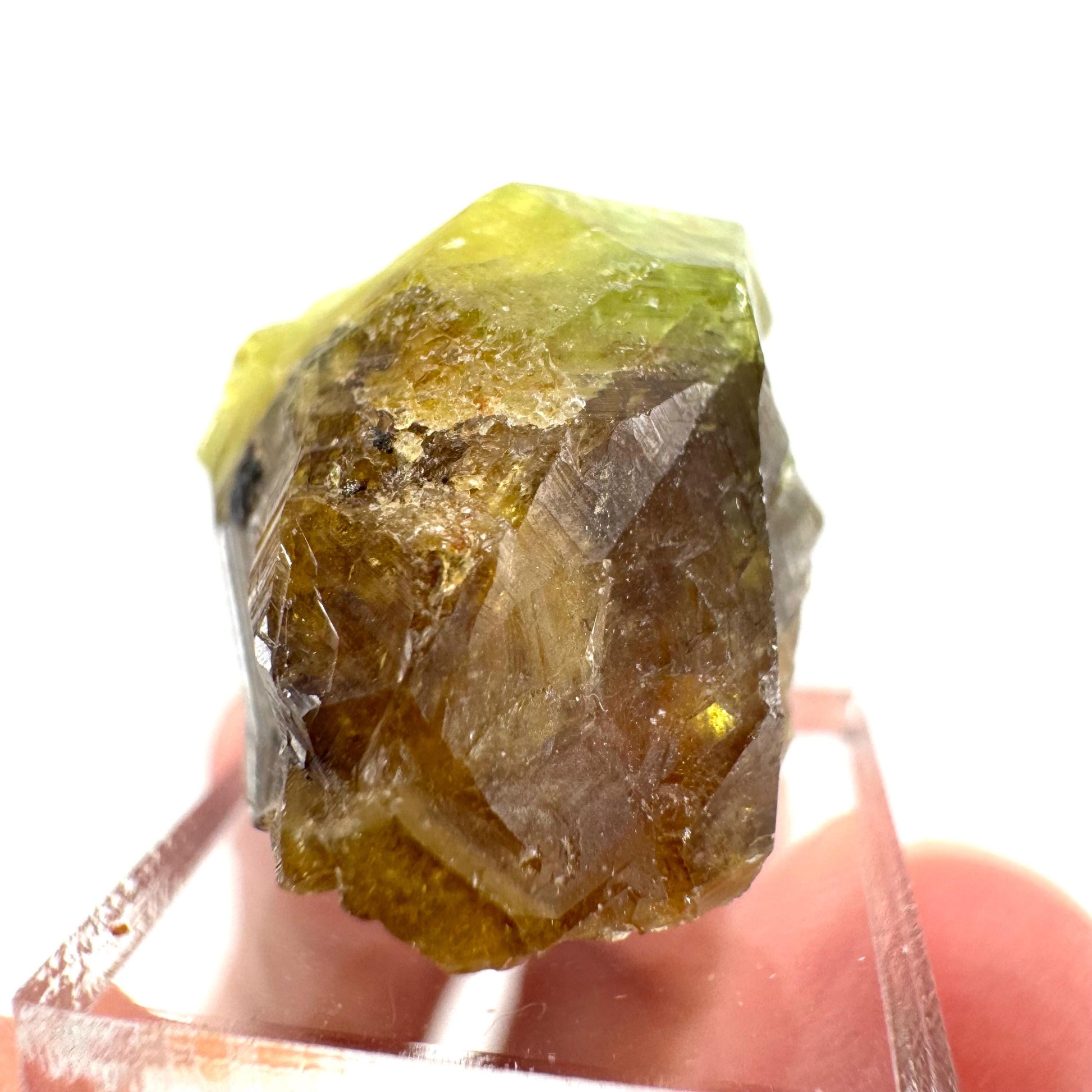 Andradite-Grossular Garnet | natural green crystal, raw mineral specimen from Mali