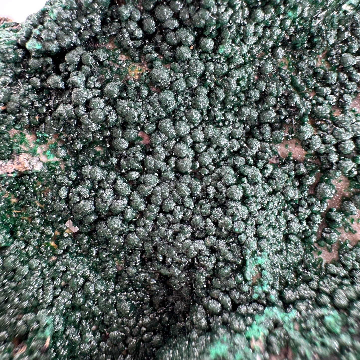 Botryoidal Malachite | raw green crystal, mineral specimen
