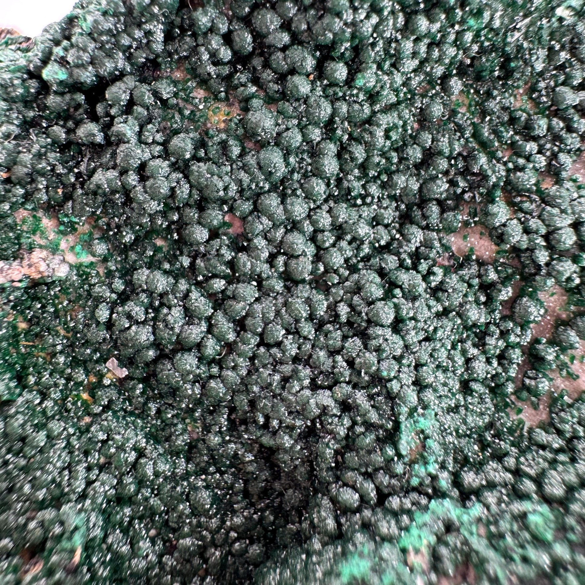 Botryoidal Malachite | raw green crystal, mineral specimen