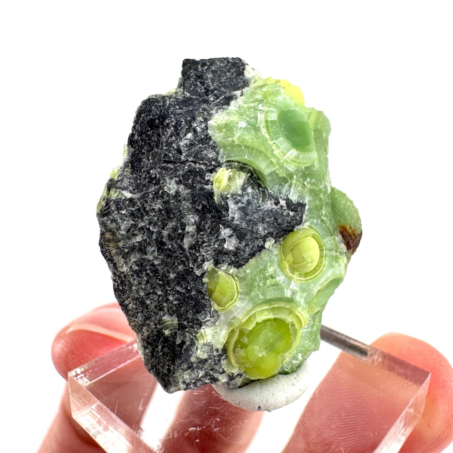 Wavellite (Arkansas, USA) | green crystal cluster, mineral specimen