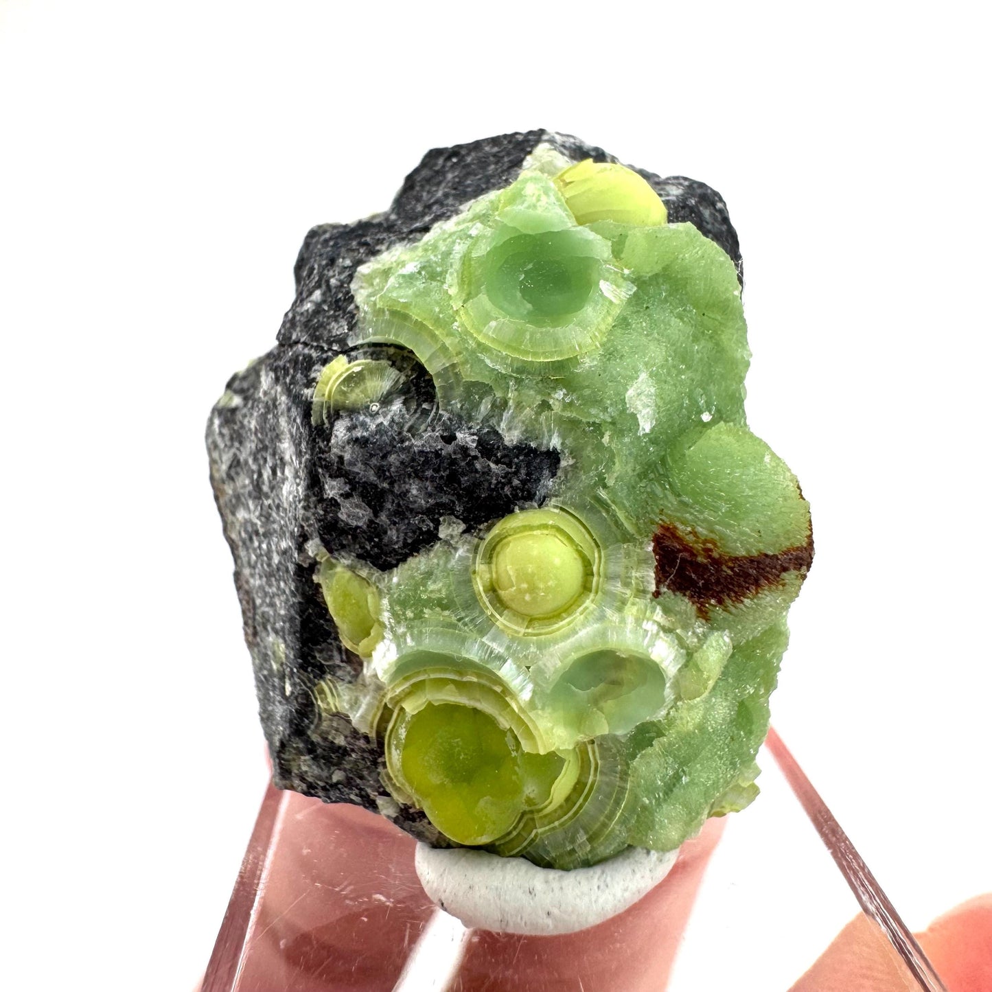 Wavellite (Arkansas, USA) | green crystal cluster, mineral specimen