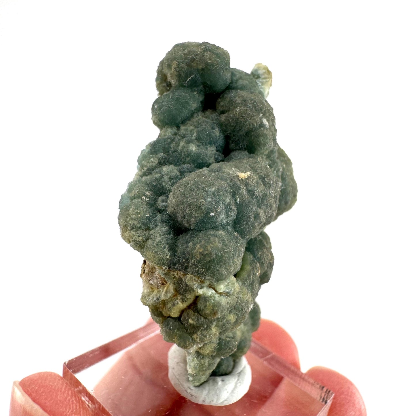 Wavellite (Arkansas, USA) | green crystal cluster, mineral specimen