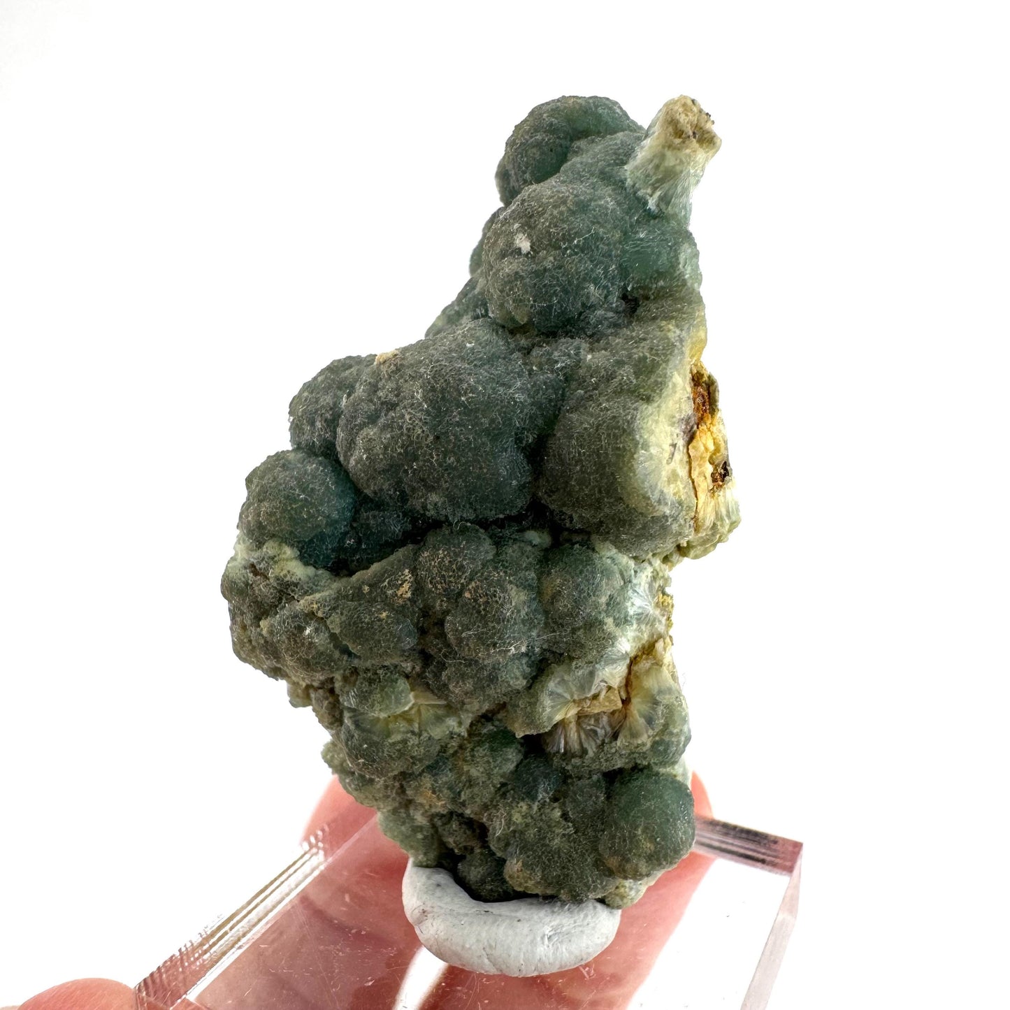 Wavellite (Arkansas, USA) | green crystal cluster, mineral specimen