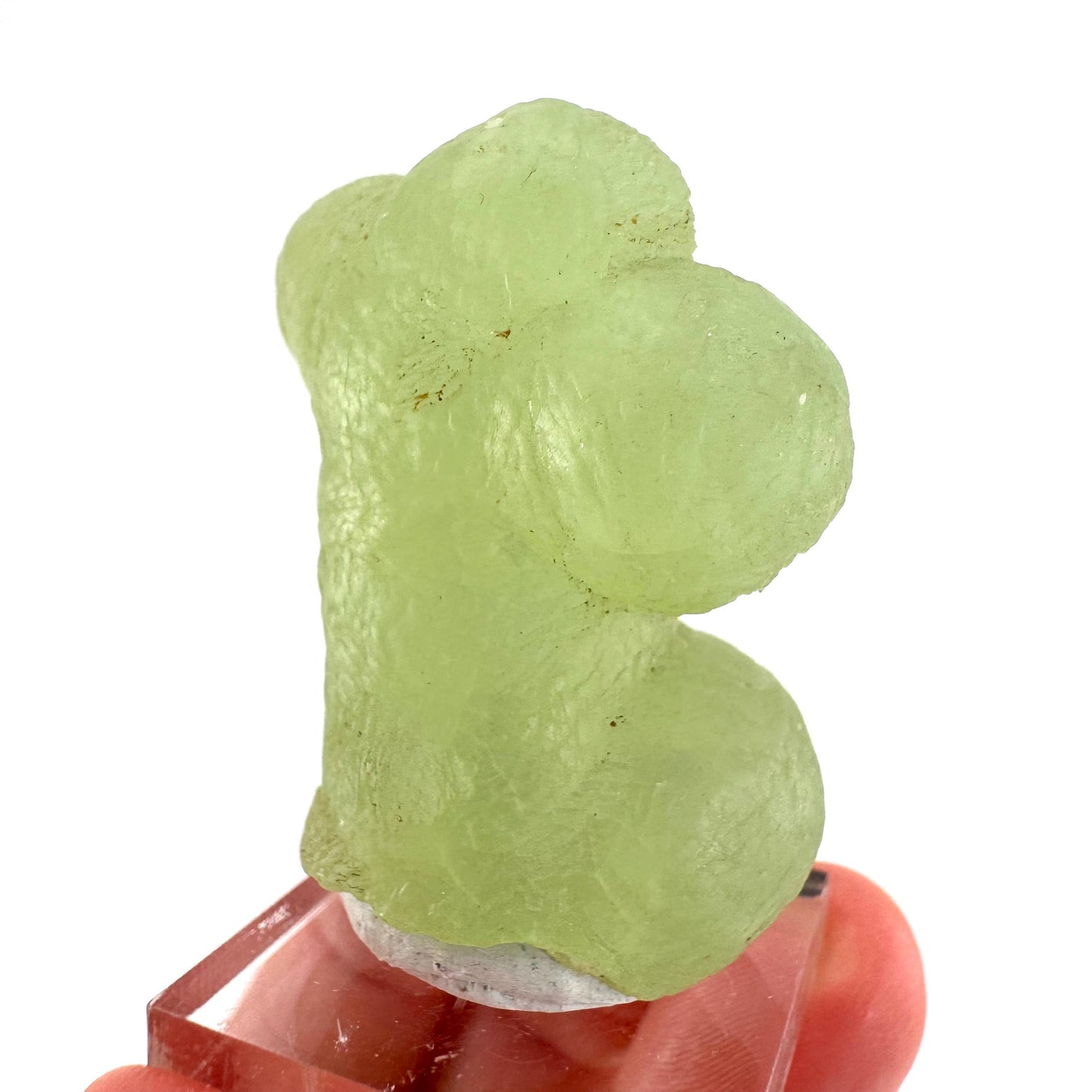 Prehnite | Botryoidal green crystal, mineral specimen from Mali