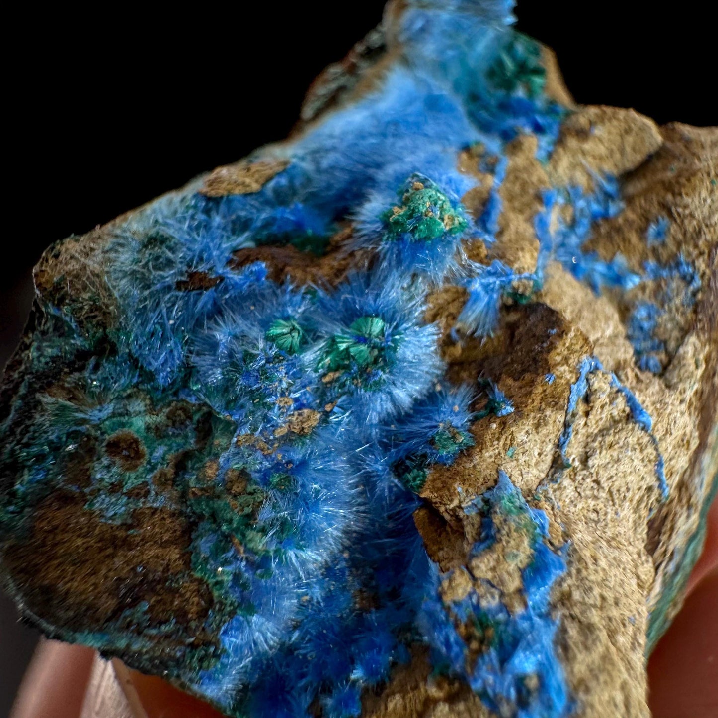 Cyanotrichite | fuzzy blue crystal, rare mineral specimen from Chile