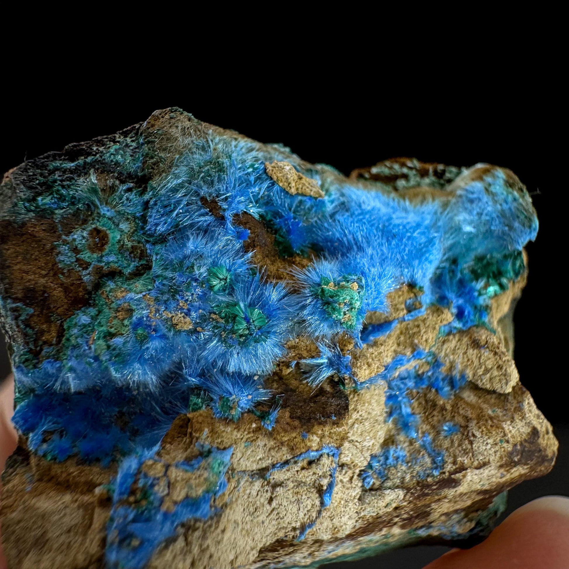 Cyanotrichite | fuzzy blue crystal, rare mineral specimen from Chile