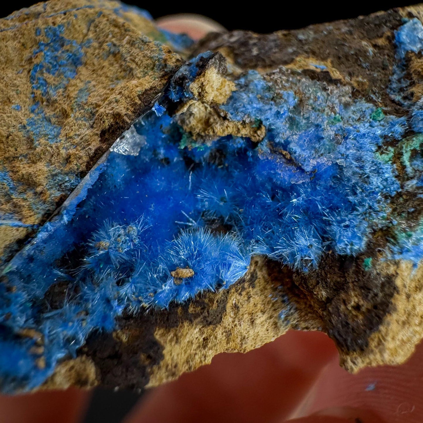 Cyanotrichite | fuzzy blue crystal, rare mineral specimen from Chile