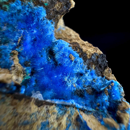 Cyanotrichite | fuzzy blue crystal, rare mineral specimen from Chile