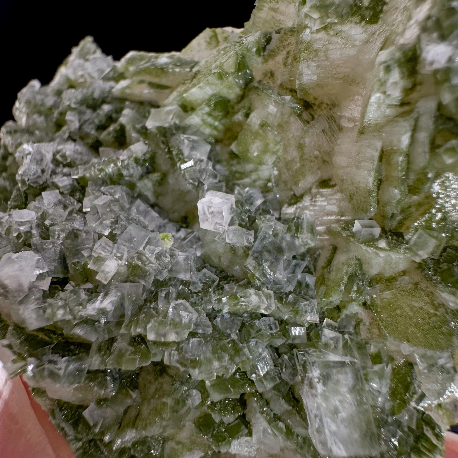 Duftite on Calcite | green crystal, rare mineral specimen from Tsumeb Mine, Namibia