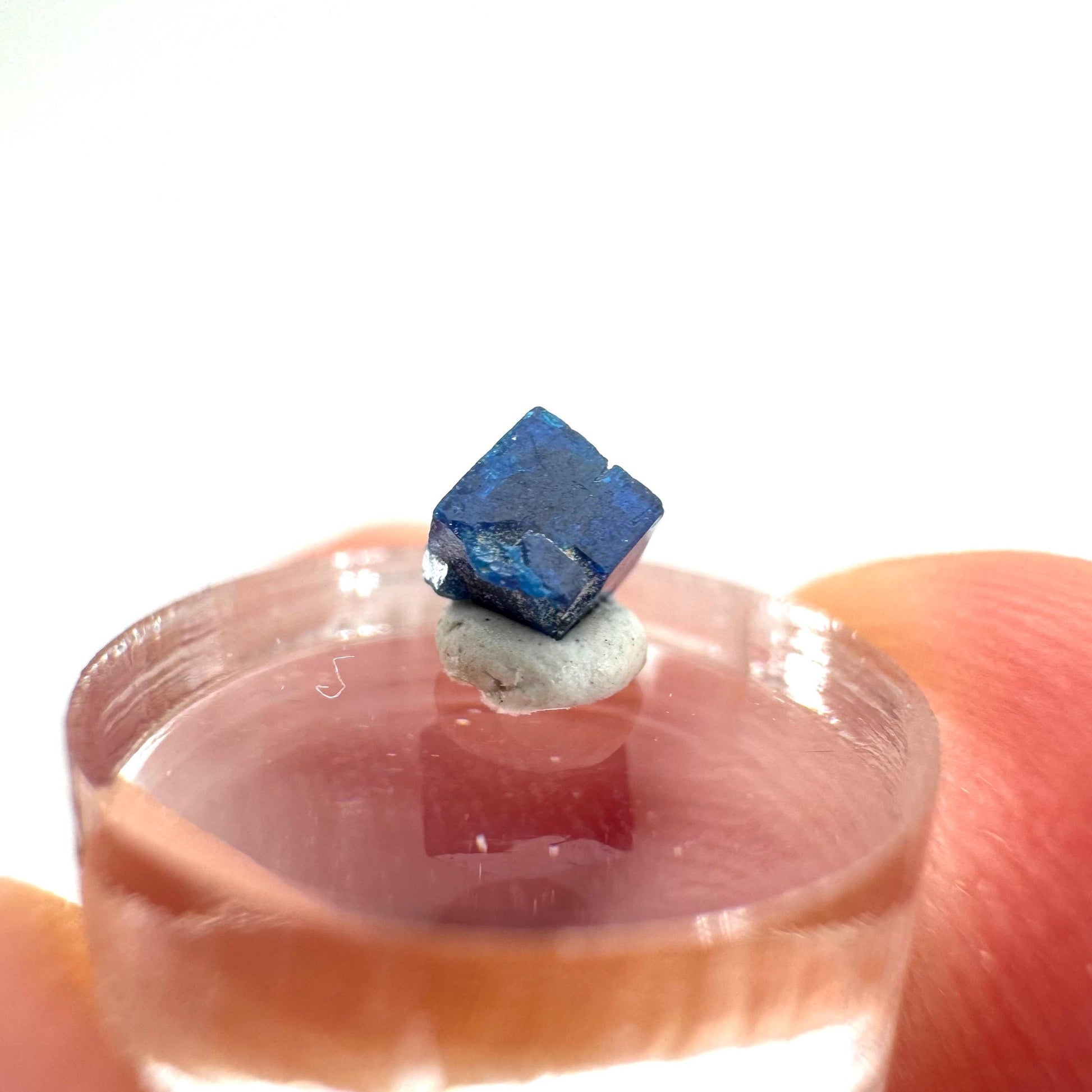 Boleite | blue cube crystal, tiny rare mineral specimen from Mexico
