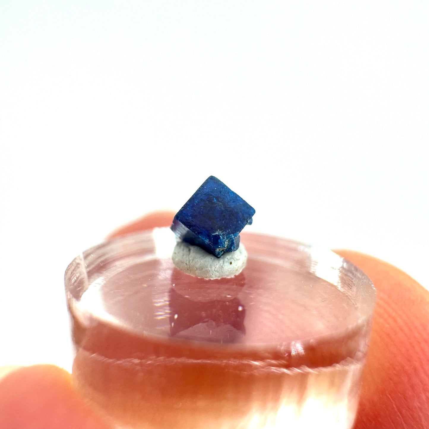 Boleite | blue cube crystal, tiny rare mineral specimen from Mexico