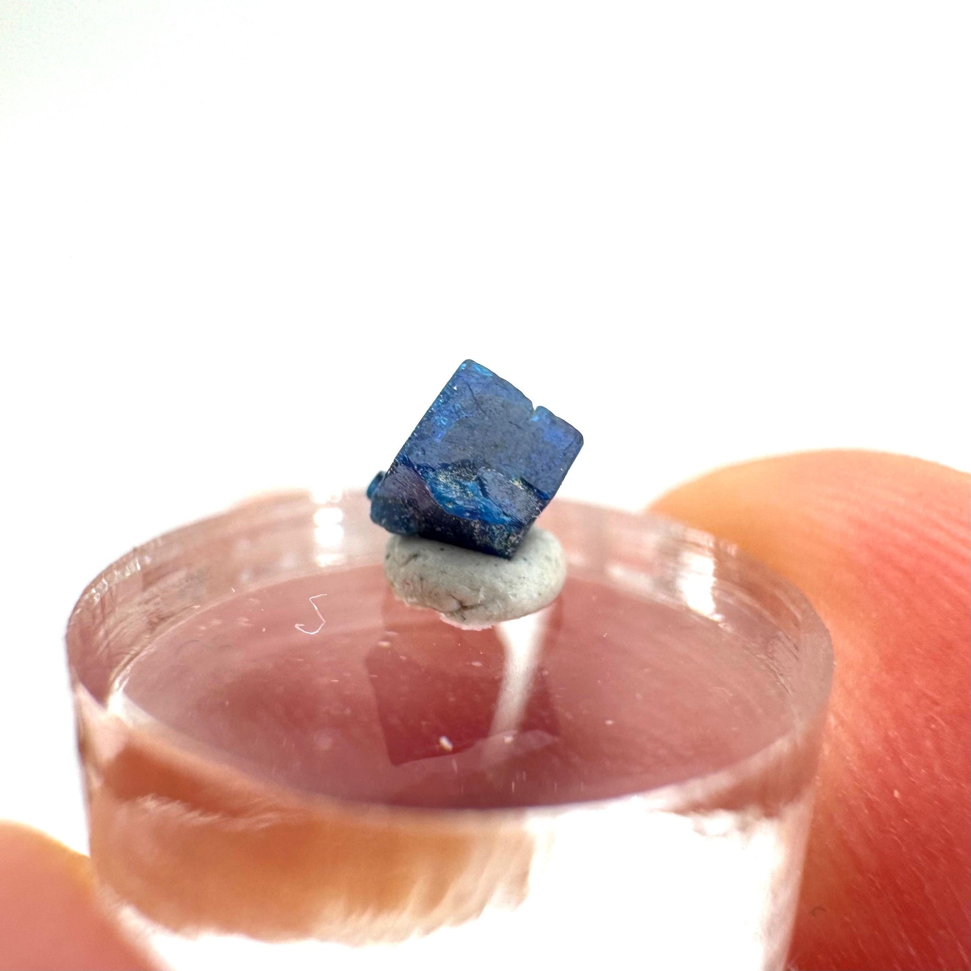 Boleite | blue cube crystal, tiny rare mineral specimen from Mexico