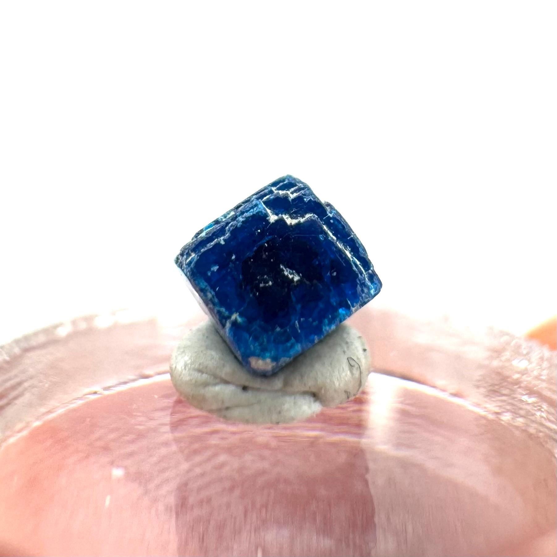 Boleite | blue cube crystal, tiny rare mineral specimen from Mexico