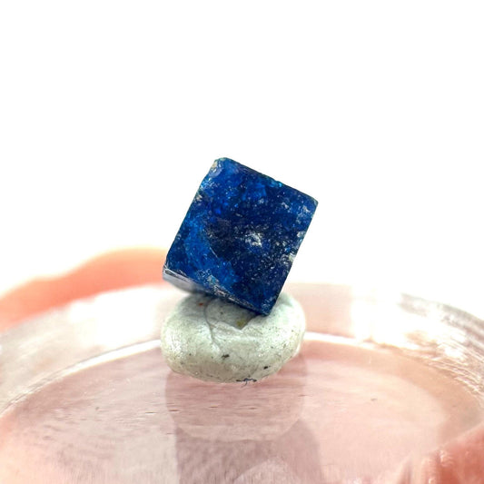 Boleite | blue cube crystal, tiny rare mineral specimen from Mexico