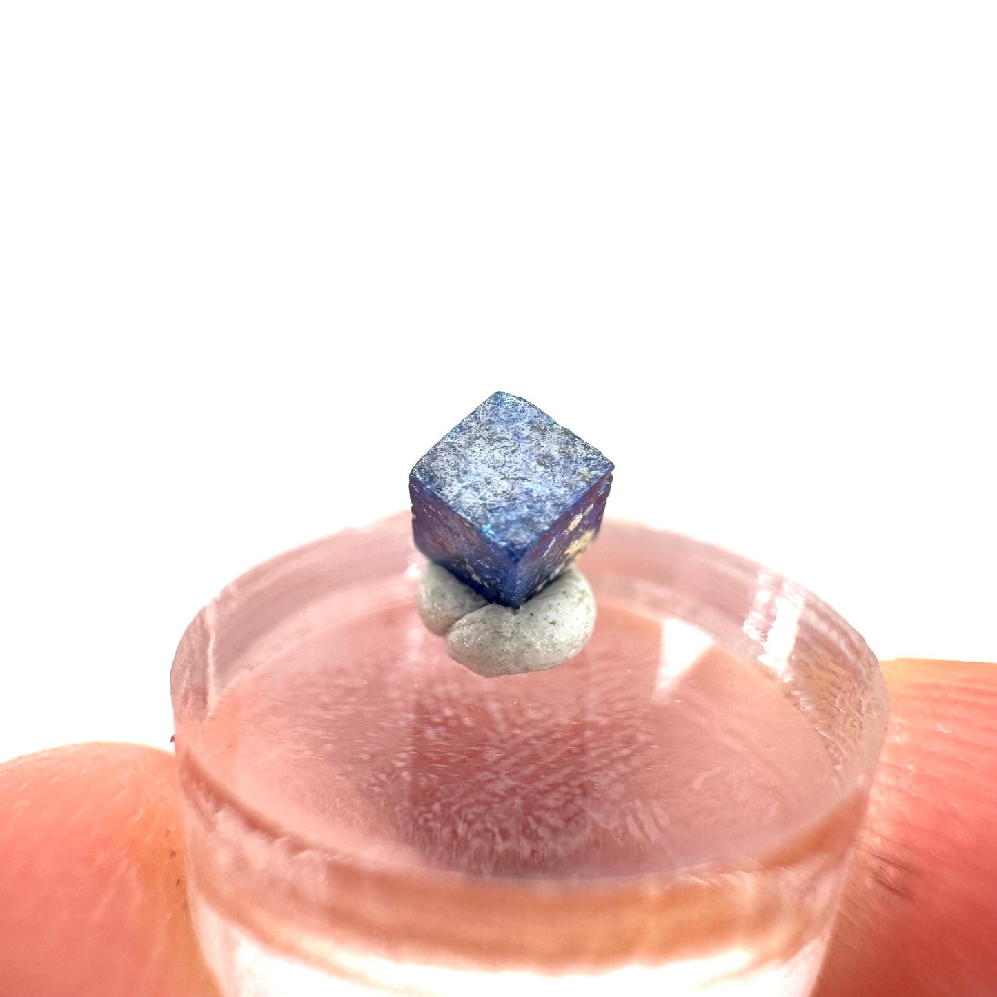 Boleite | blue cube crystal, tiny rare mineral specimen from Mexico