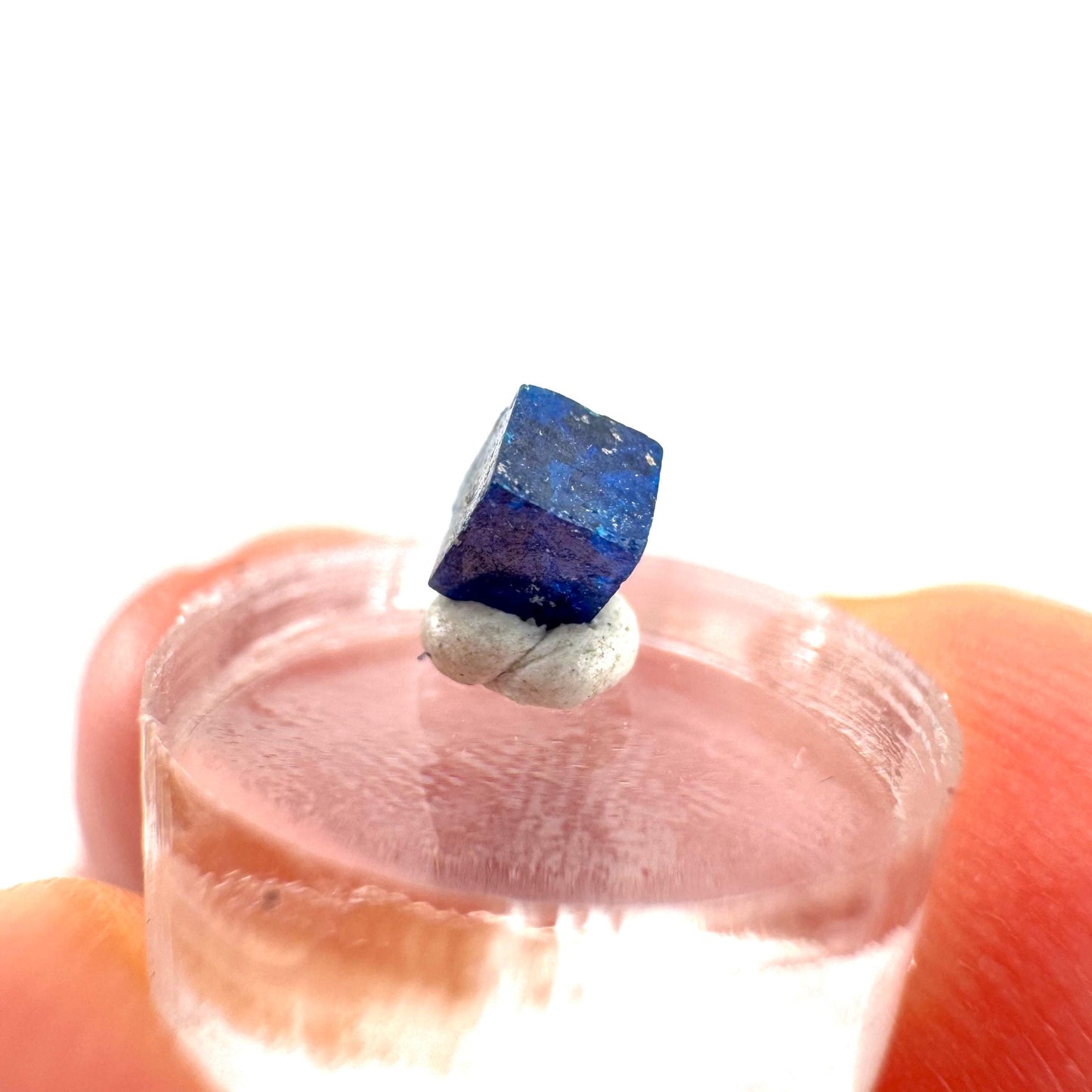 Boleite | blue cube crystal, tiny rare mineral specimen from Mexico