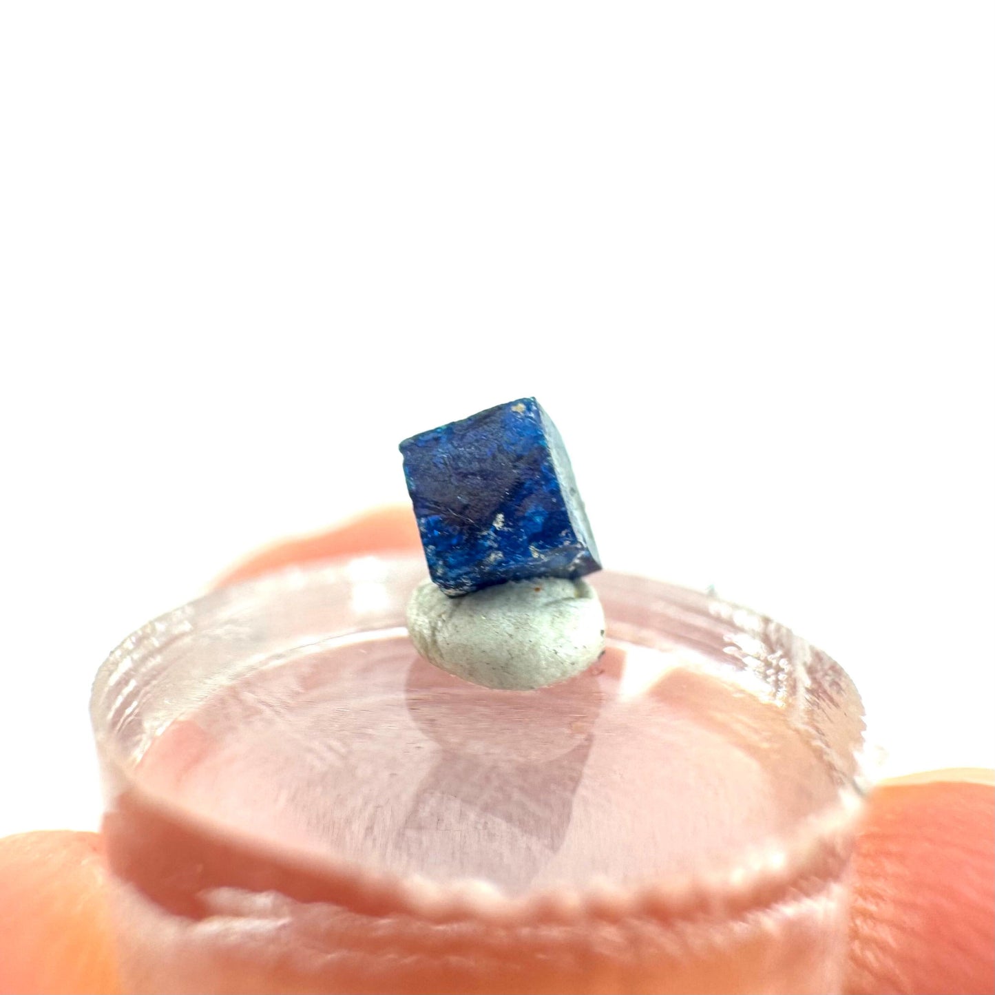 Boleite | blue cube crystal, tiny rare mineral specimen from Mexico