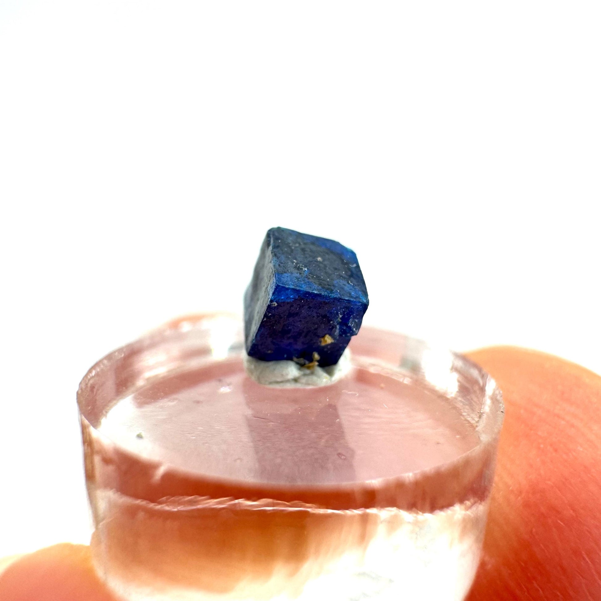 Boleite | blue cube crystal, tiny rare mineral specimen from Mexico