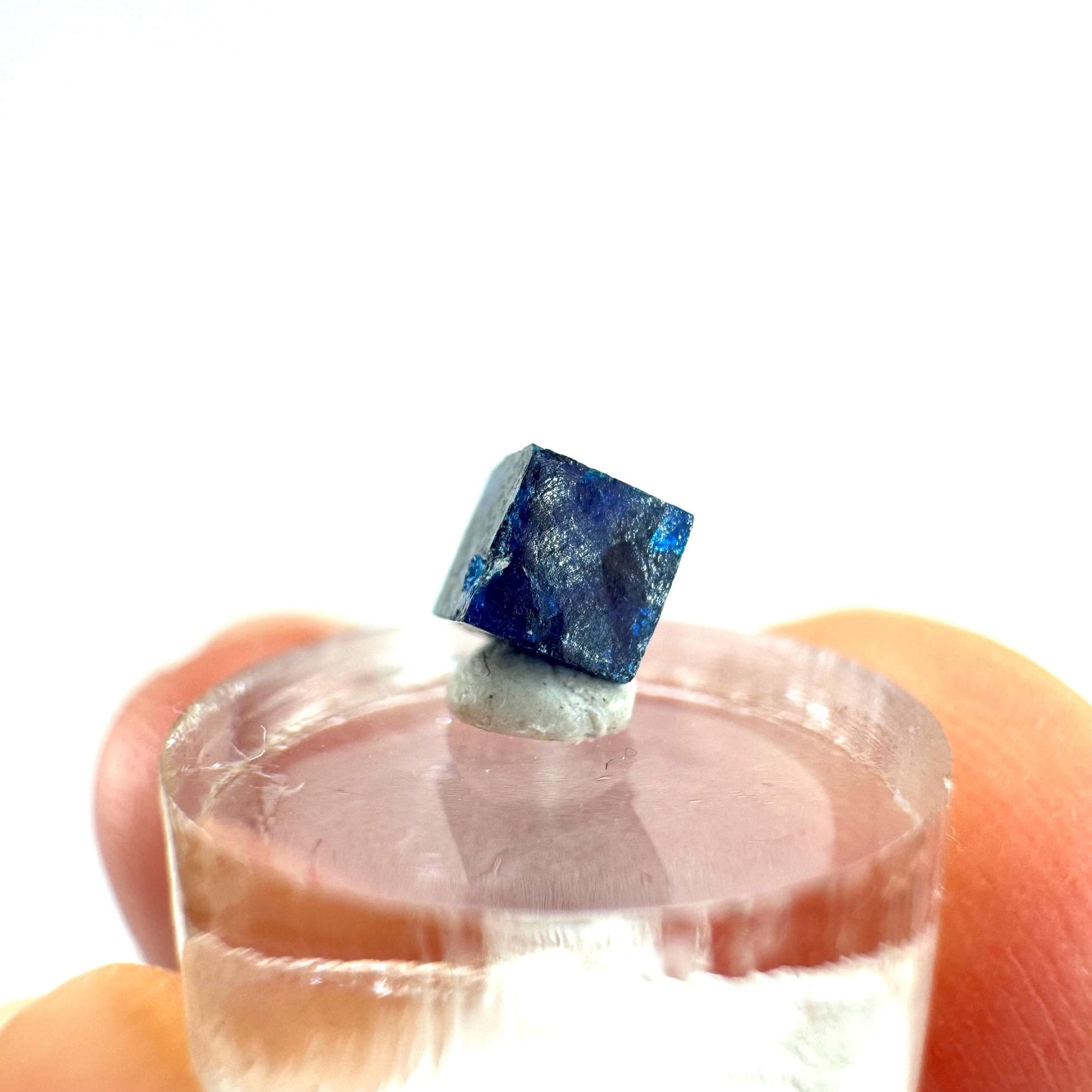 Boleite | blue cube crystal, tiny rare mineral specimen from Mexico