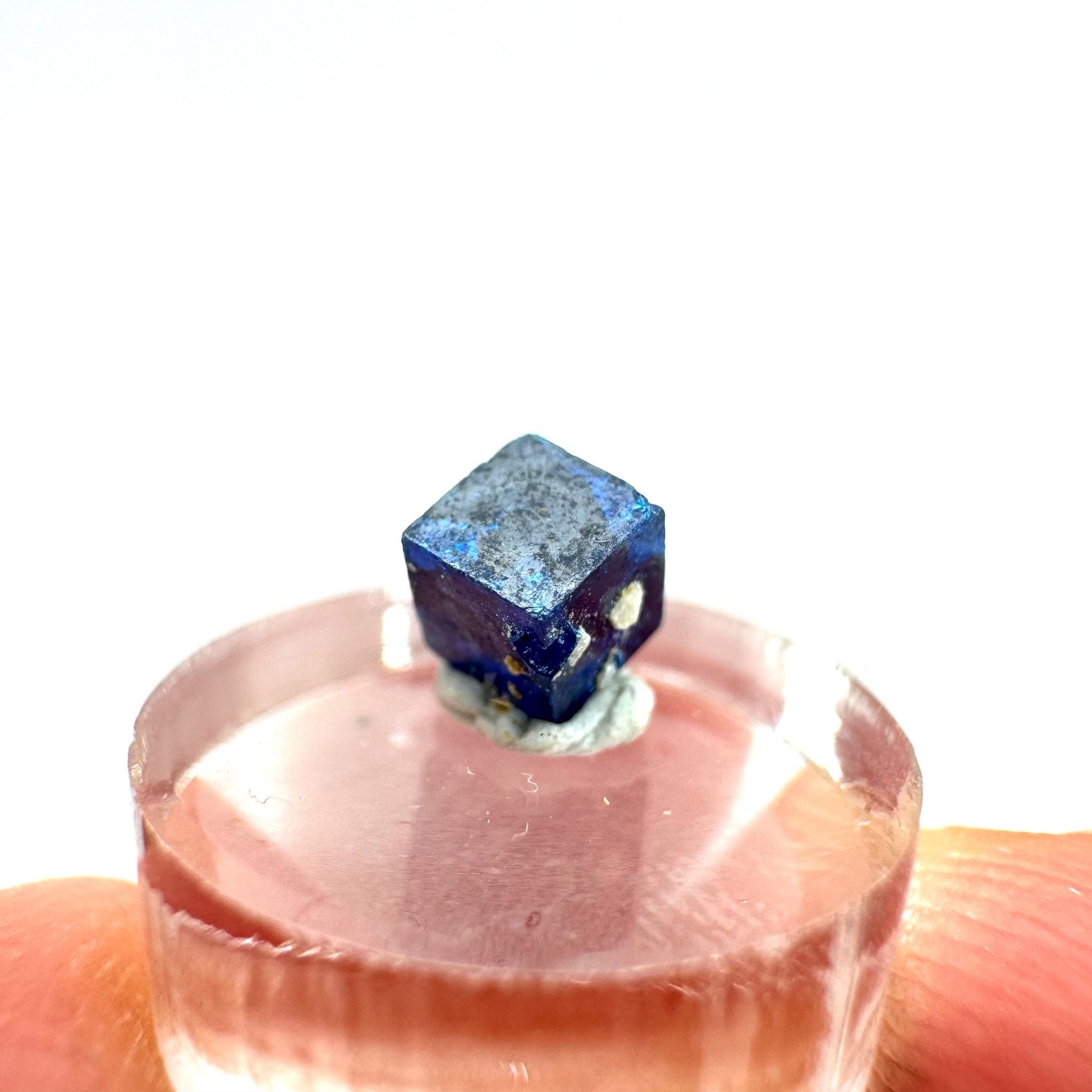 Boleite | blue cube crystal, tiny rare mineral specimen from Mexico