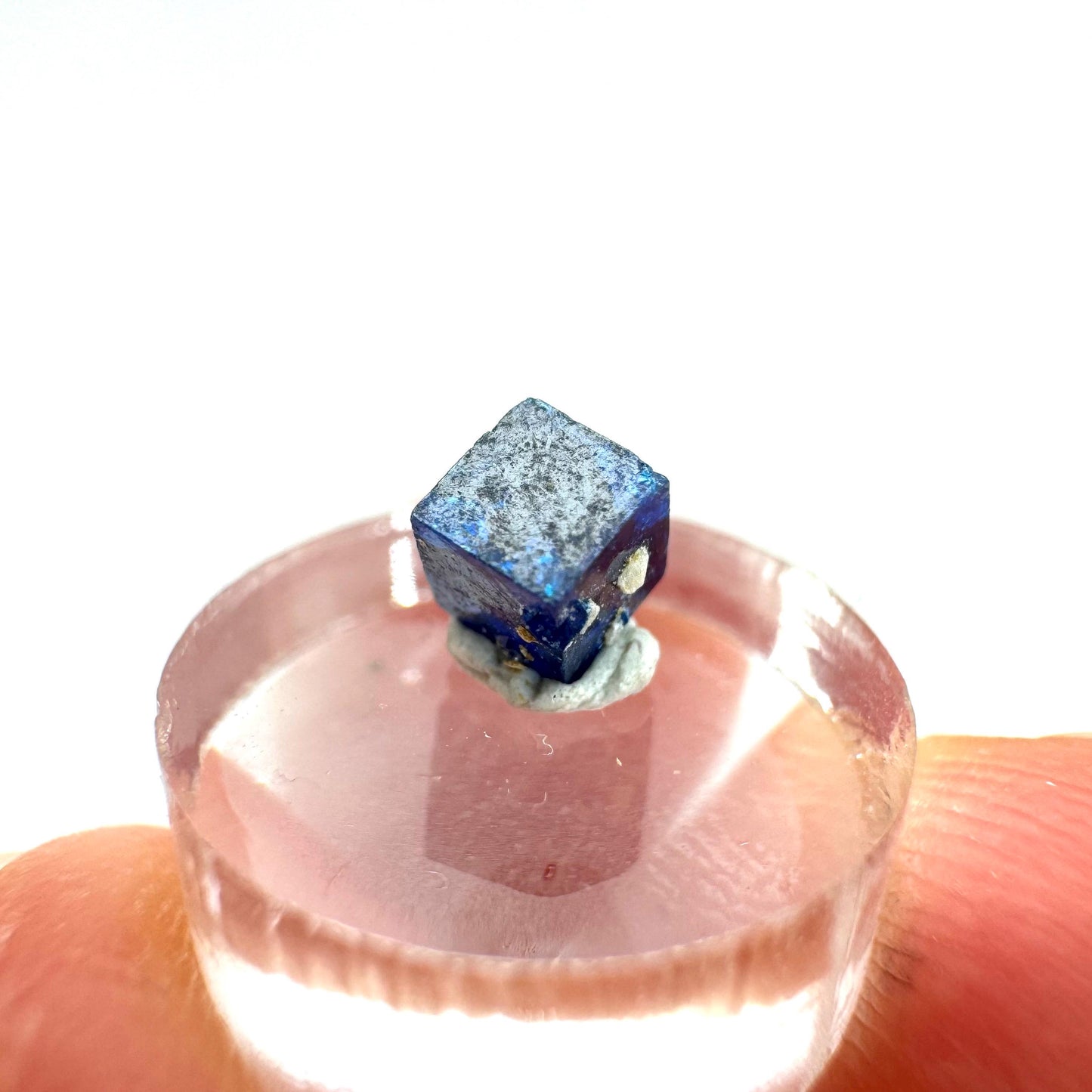 Boleite | blue cube crystal, tiny rare mineral specimen from Mexico