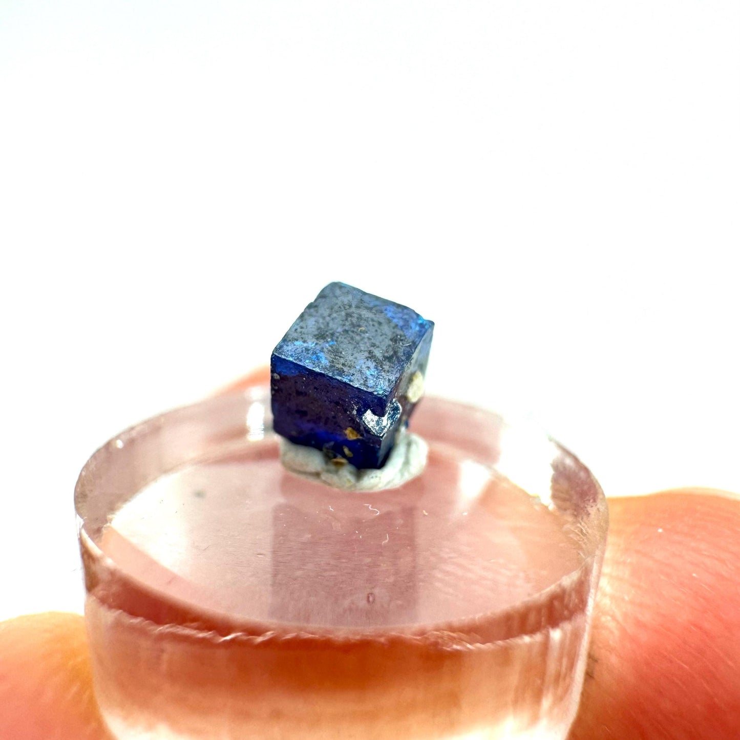 Boleite | blue cube crystal, tiny rare mineral specimen from Mexico