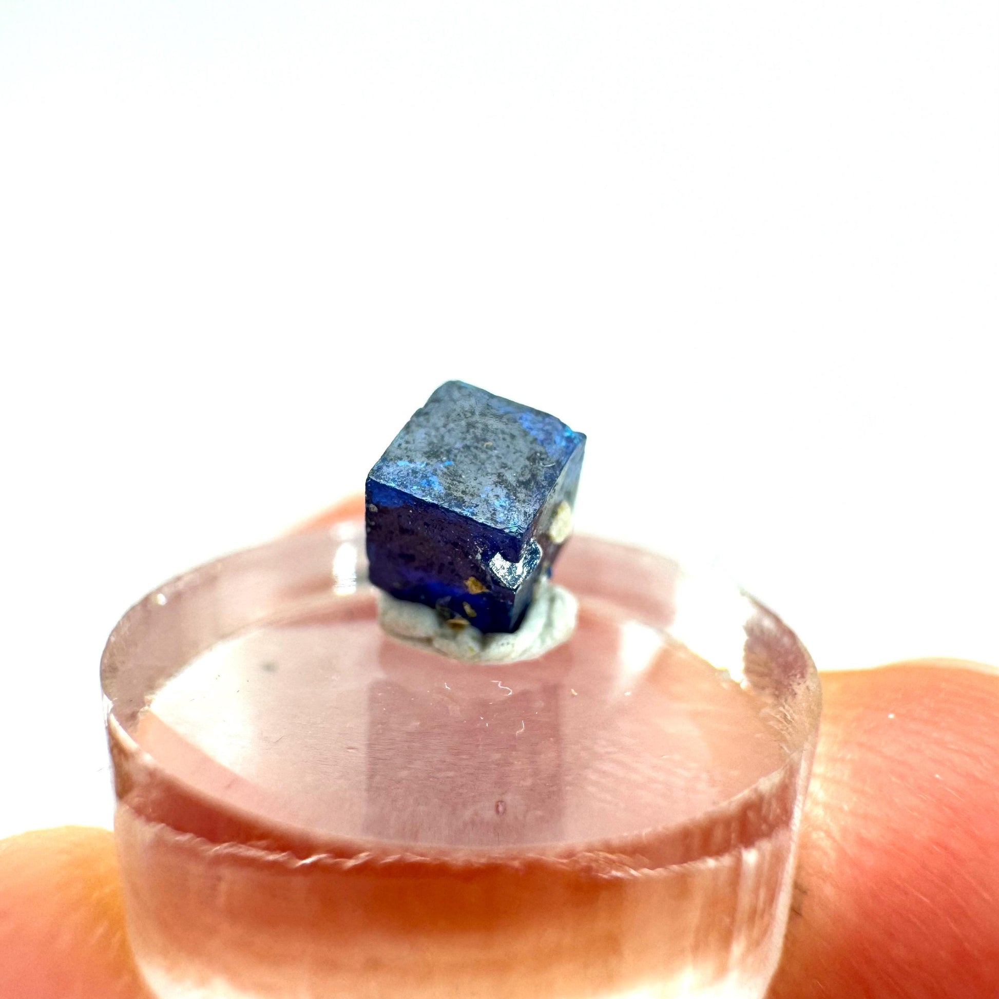 Boleite | blue cube crystal, tiny rare mineral specimen from Mexico