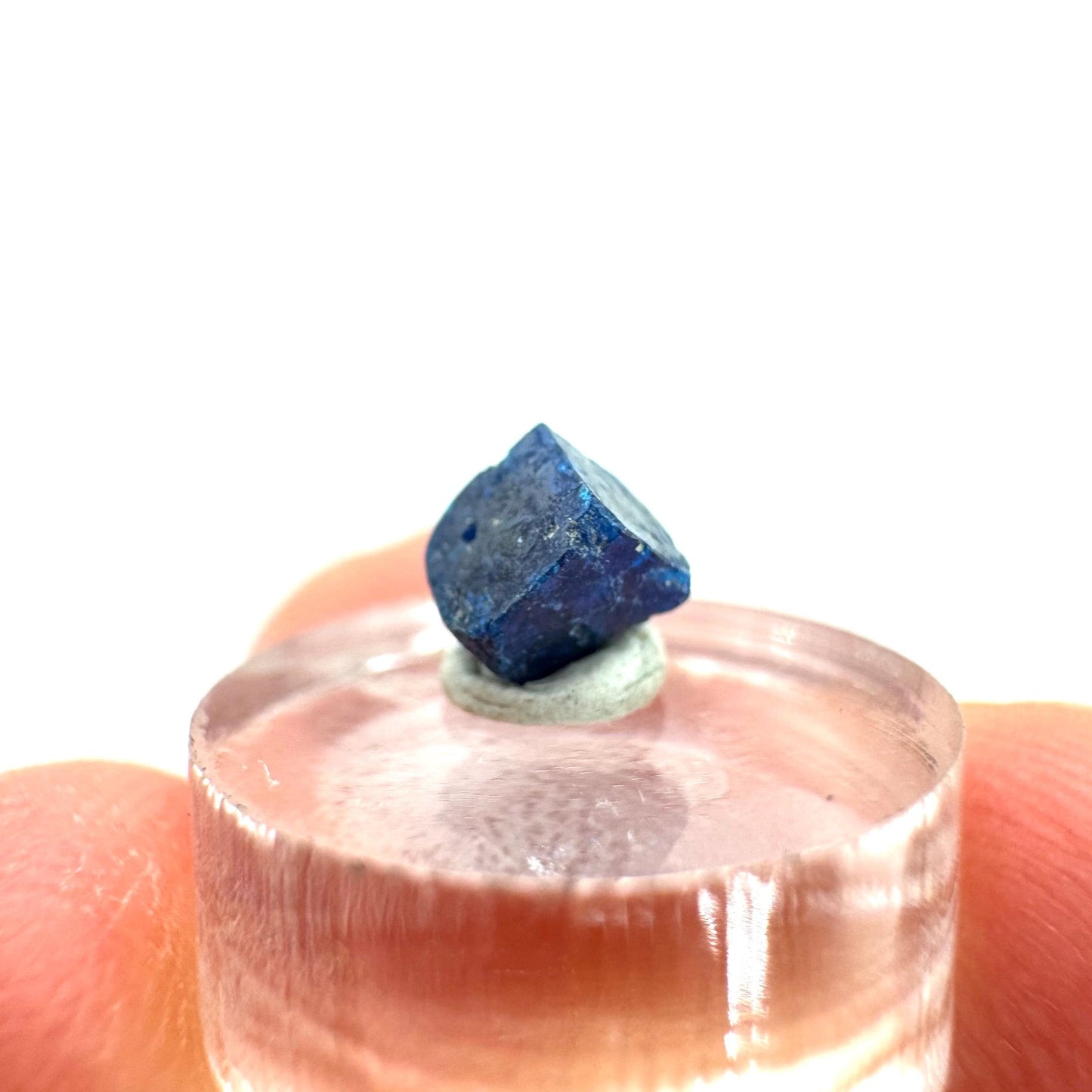 Boleite | blue cube crystal, tiny rare mineral specimen from Mexico