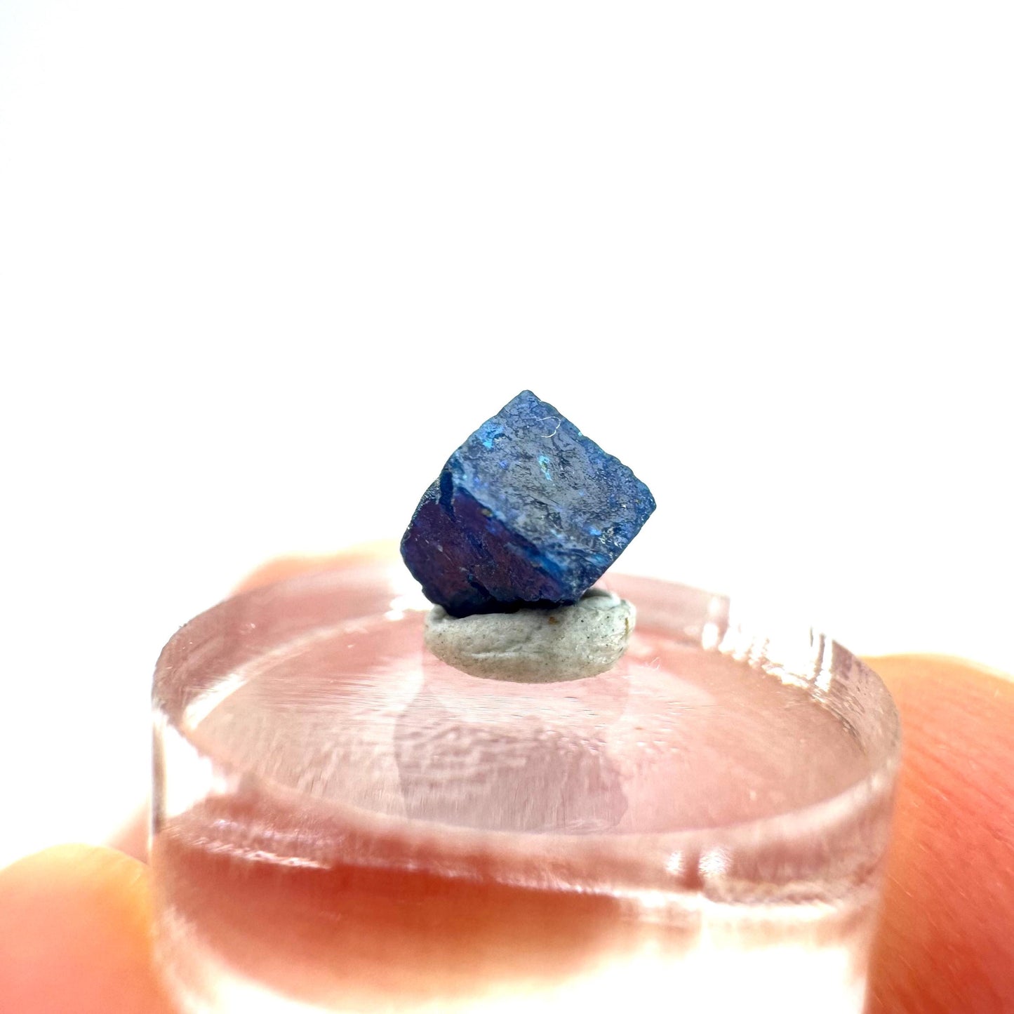 Boleite | blue cube crystal, tiny rare mineral specimen from Mexico