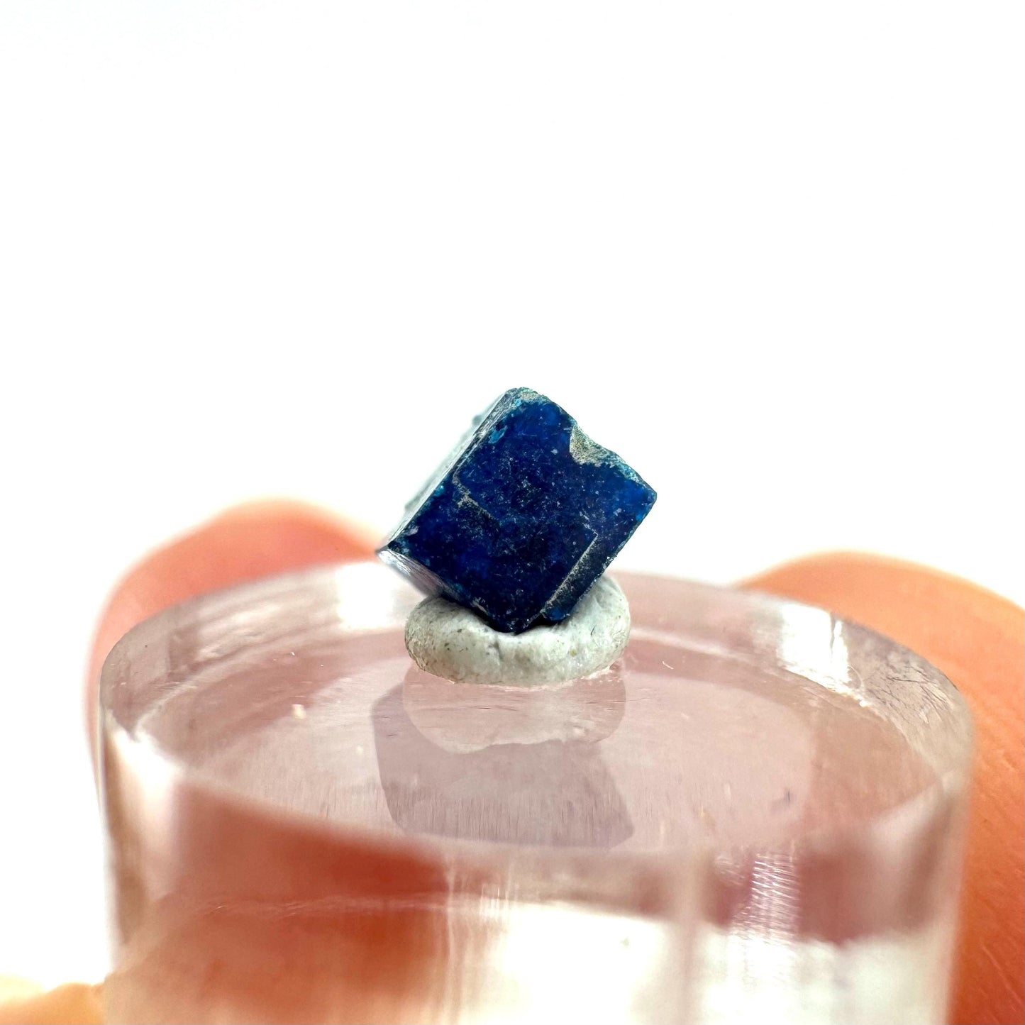 Boleite | blue cube crystal, tiny rare mineral specimen from Mexico